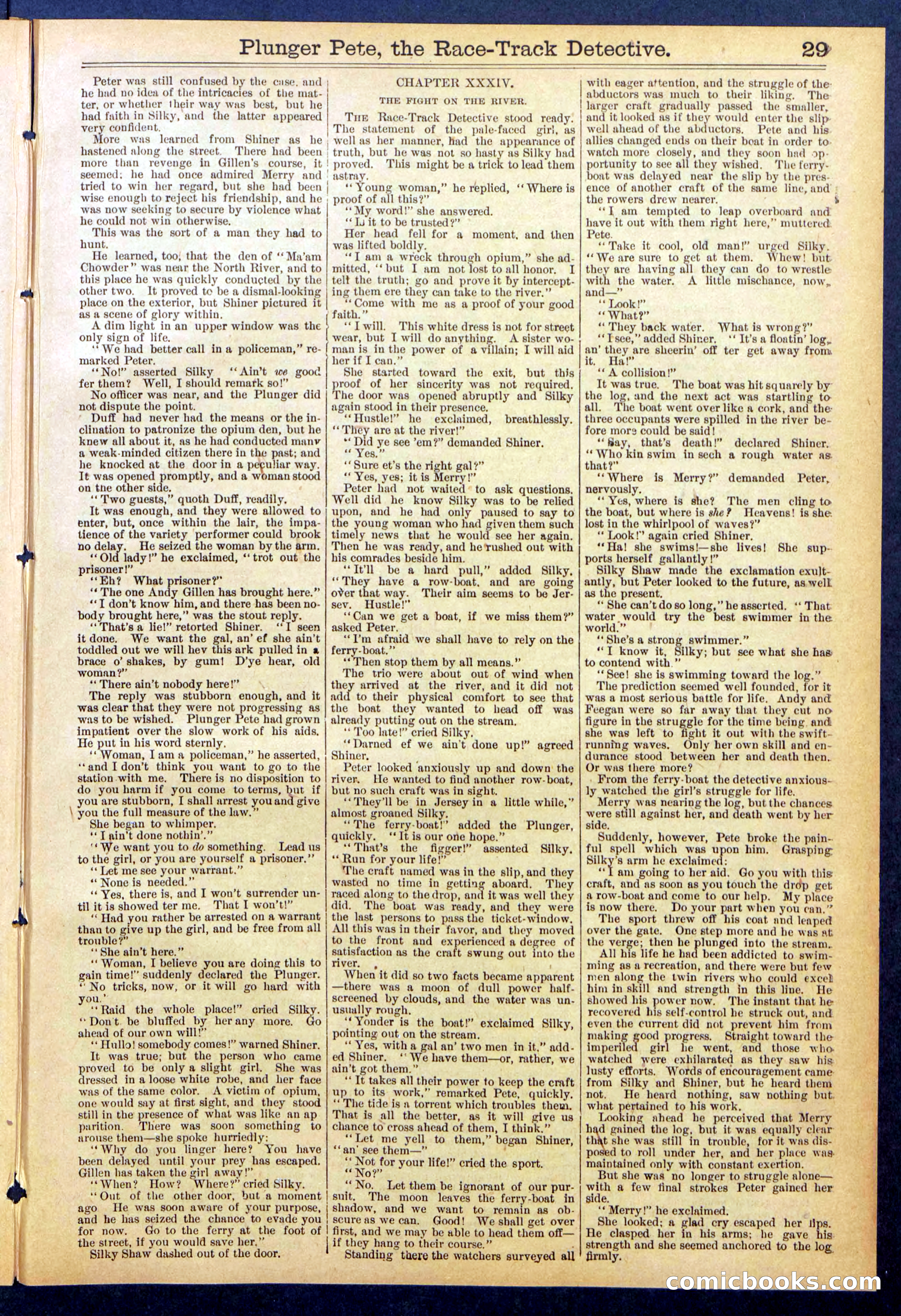 Beadle's New York Dime Library No. 790 — page 29 of 32