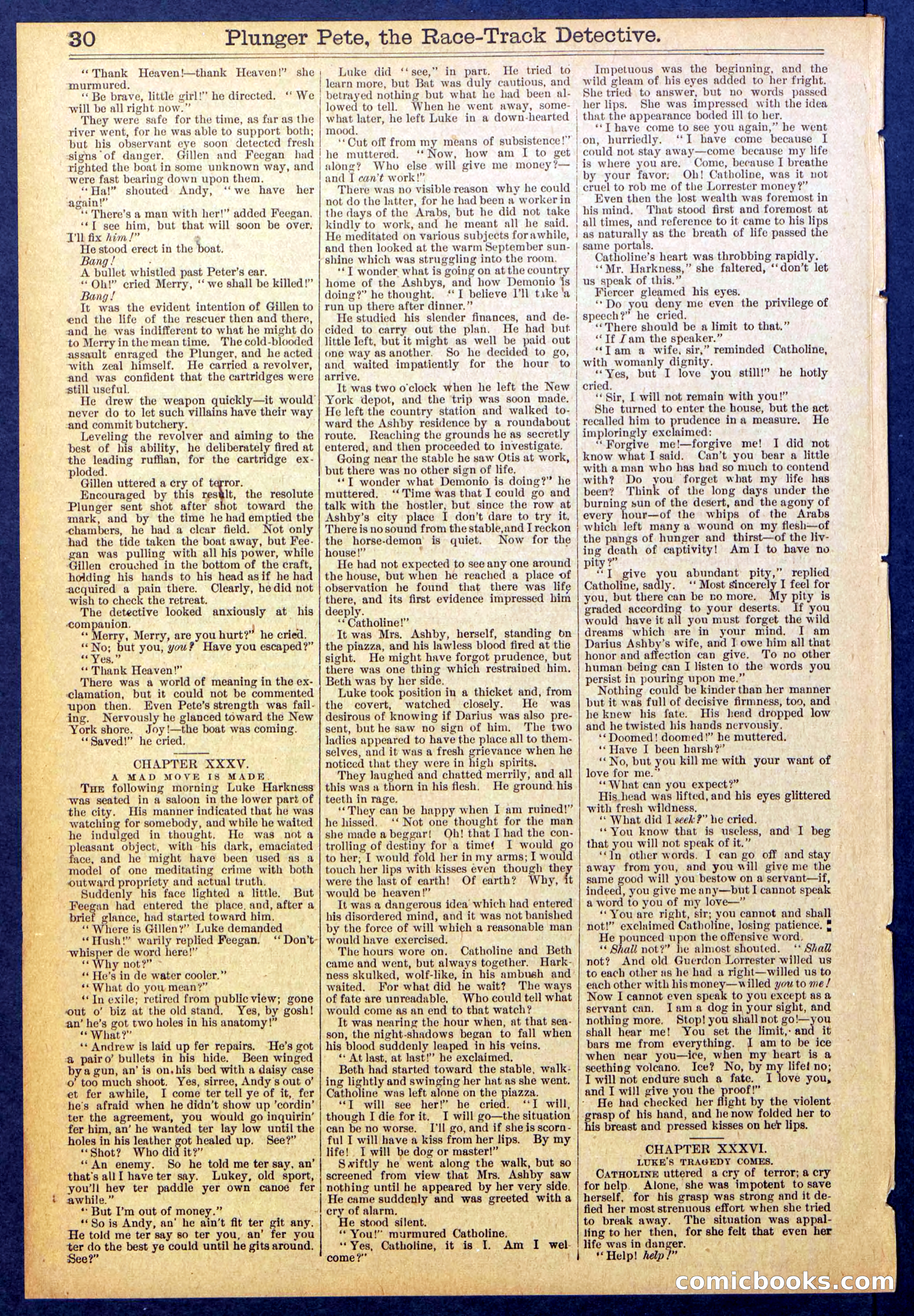Beadle's New York Dime Library No. 790 — page 30 of 32