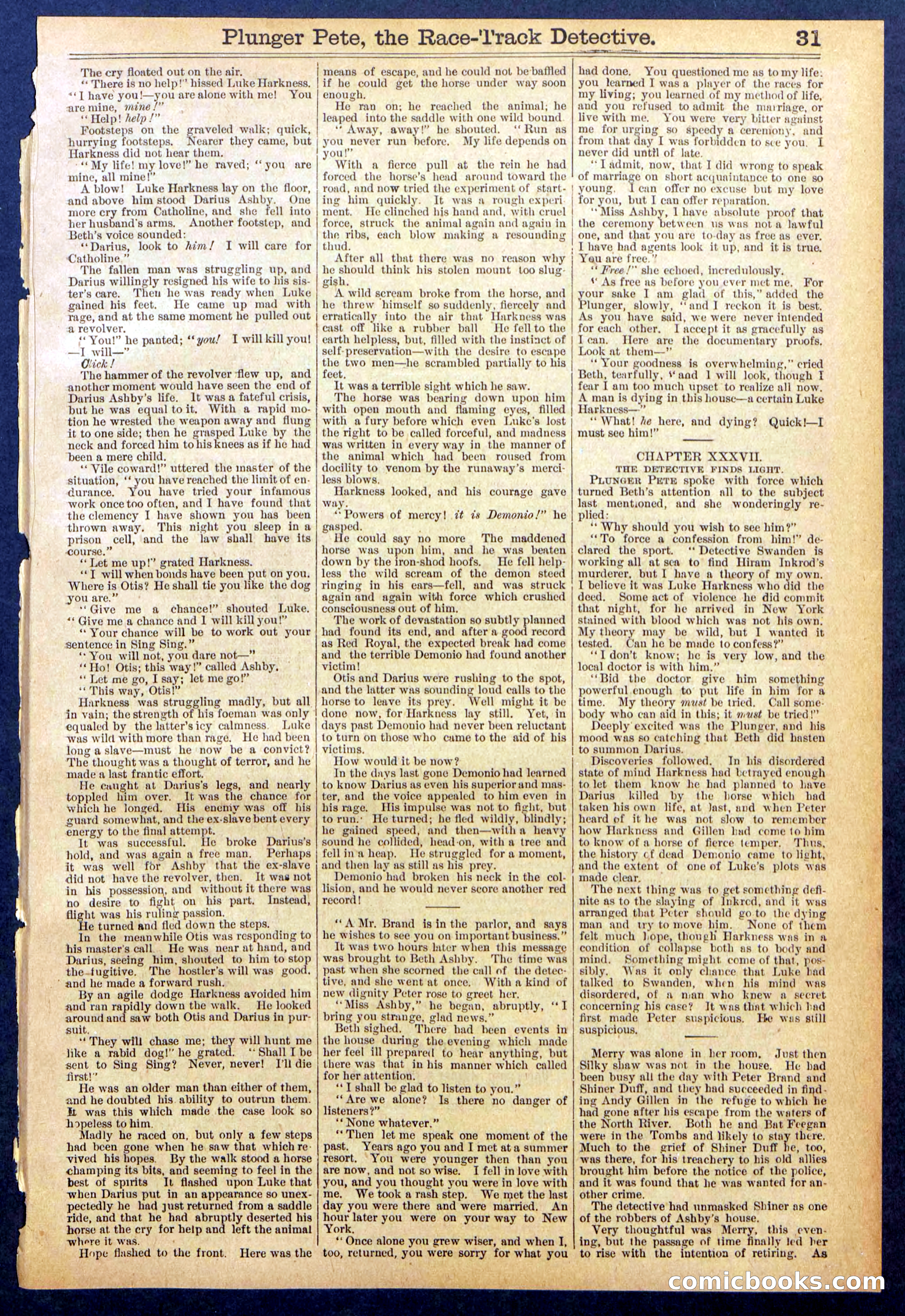 Beadle's New York Dime Library No. 790 — page 31 of 32