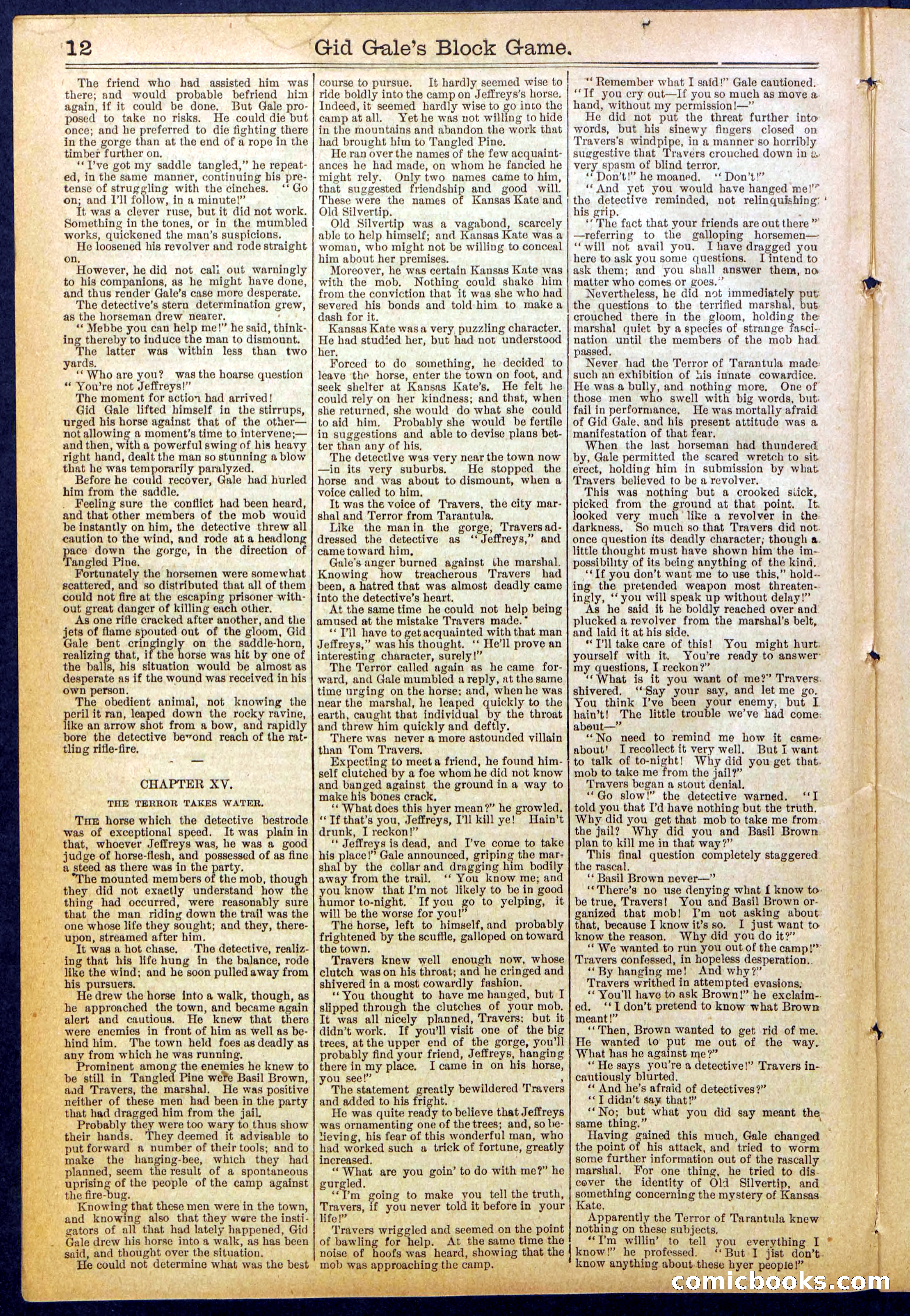Beadle's New York Dime Library No. 832 — page 12 of 32