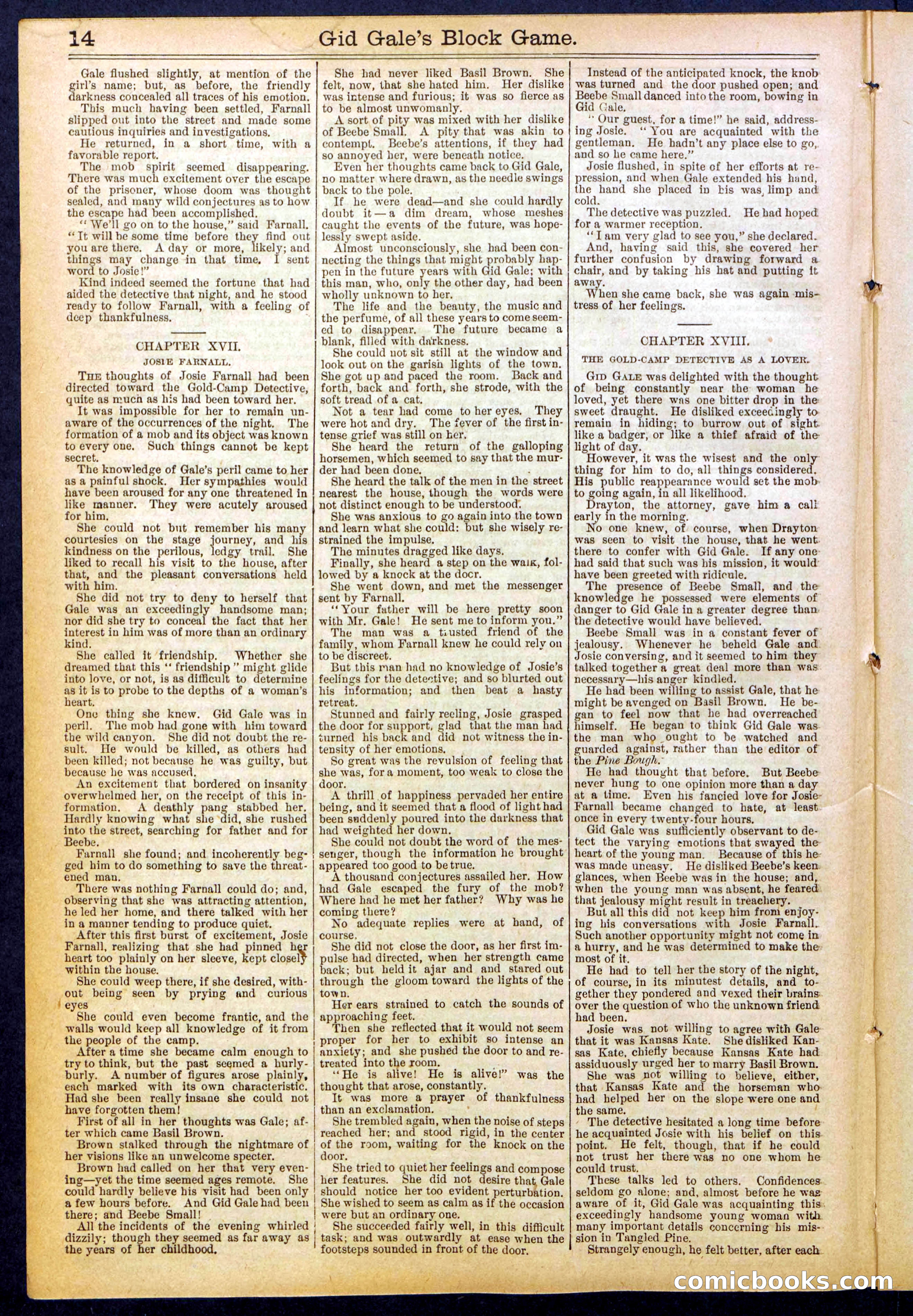 Beadle's New York Dime Library No. 832 — page 14 of 32