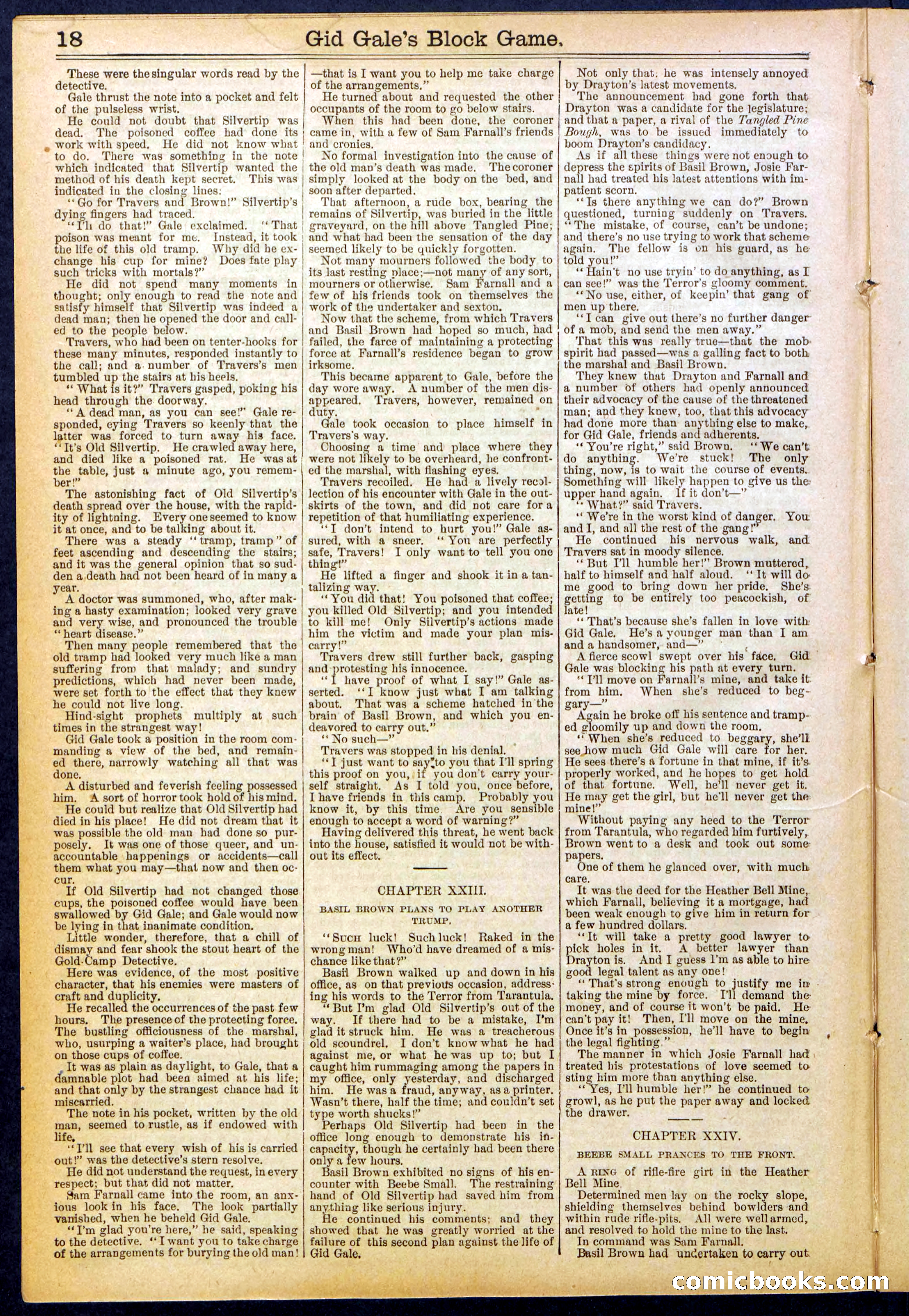 Beadle's New York Dime Library No. 832 — page 18 of 32