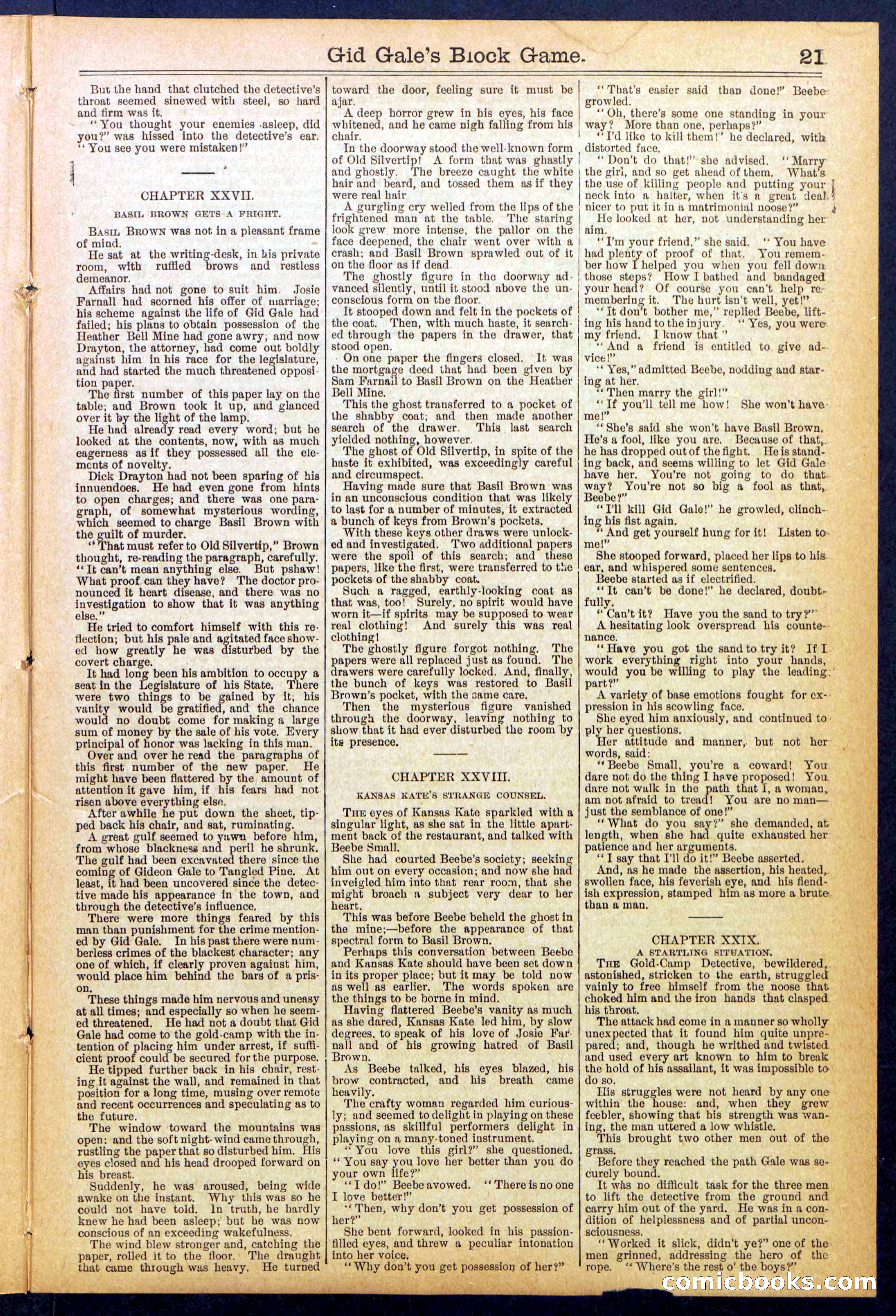 Beadle's New York Dime Library No. 832 — page 21 of 32