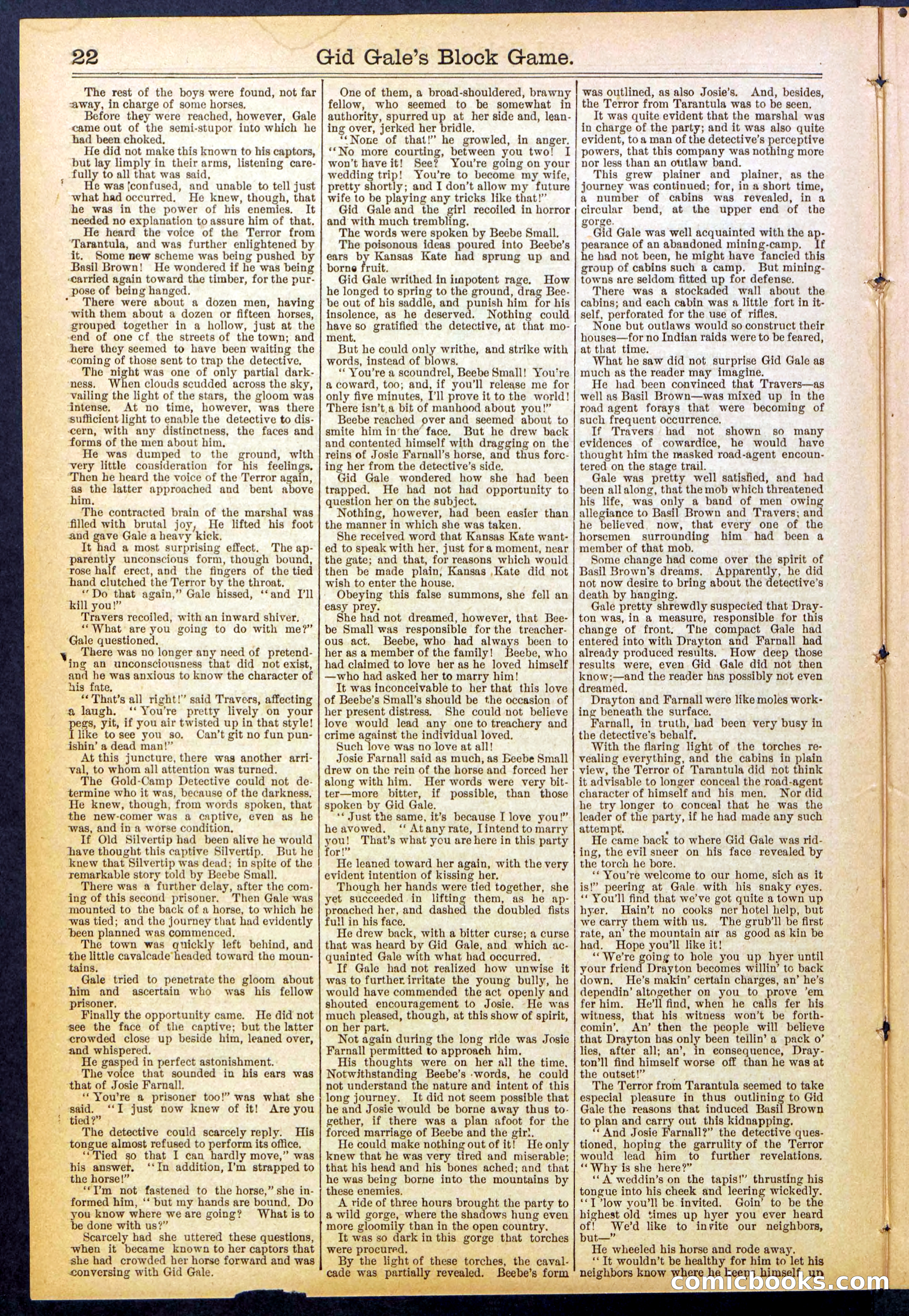 Beadle's New York Dime Library No. 832 — page 22 of 32
