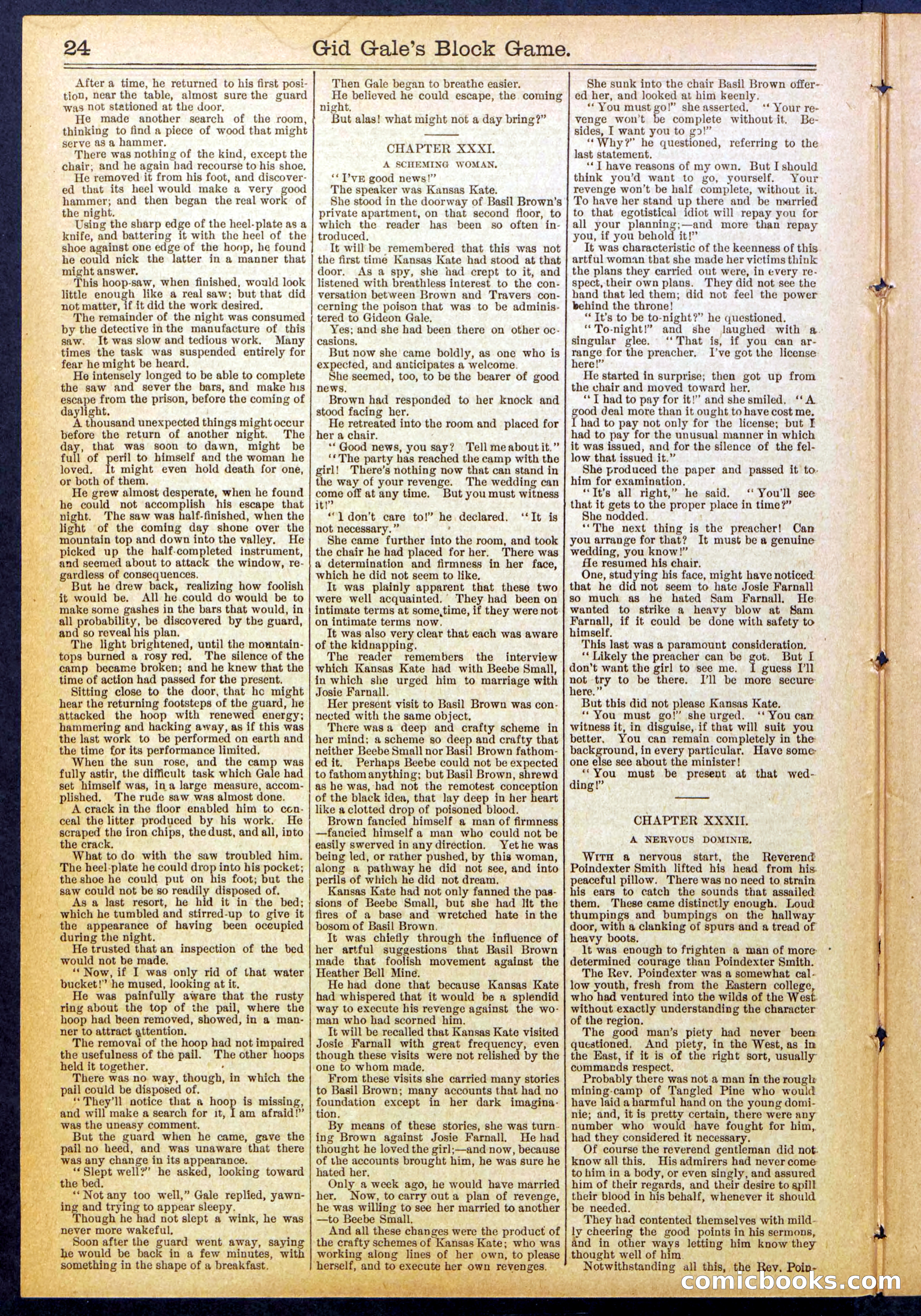 Beadle's New York Dime Library No. 832 — page 24 of 32