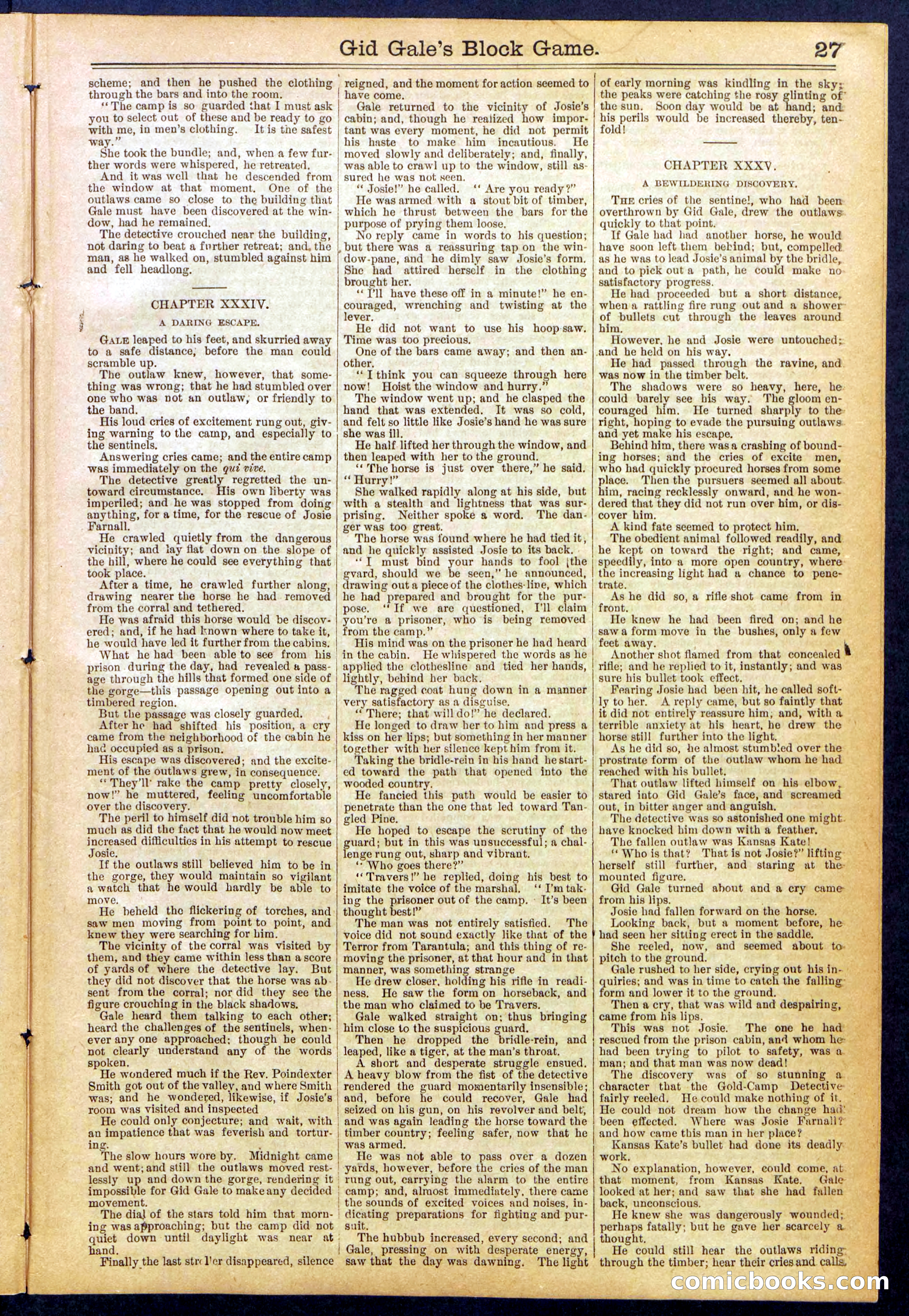 Beadle's New York Dime Library No. 832 — page 27 of 32