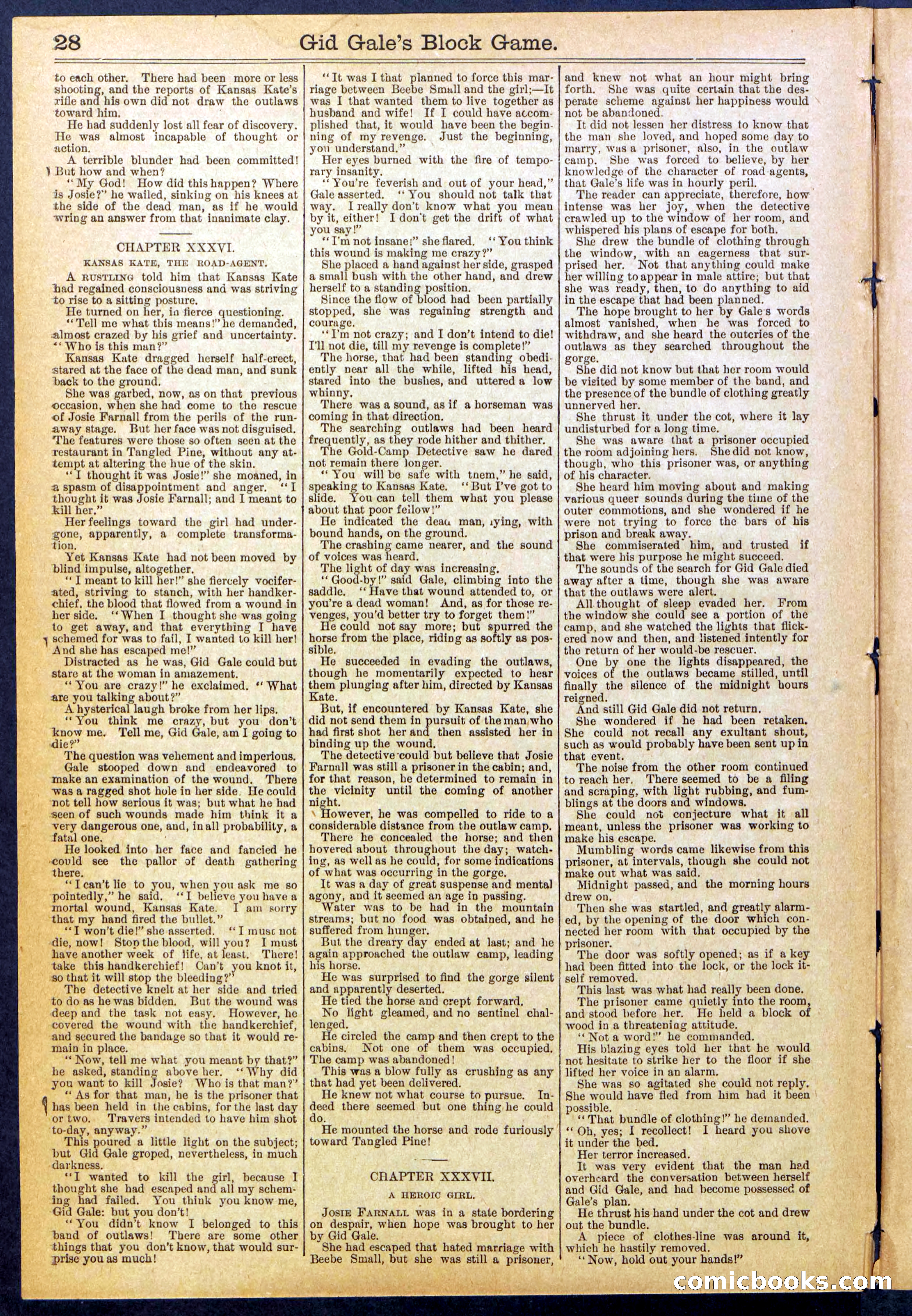 Beadle's New York Dime Library No. 832 — page 28 of 32