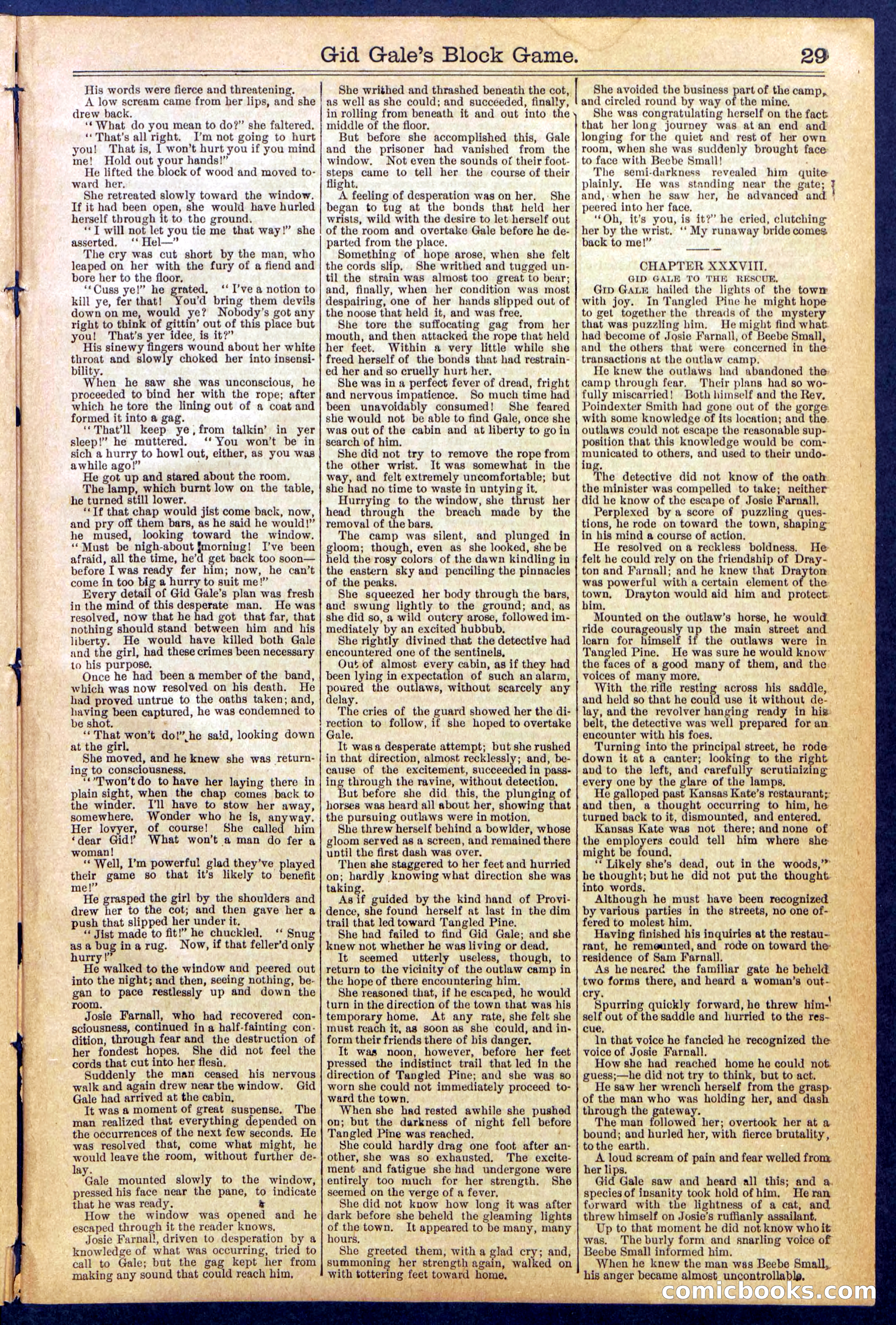 Beadle's New York Dime Library No. 832 — page 29 of 32