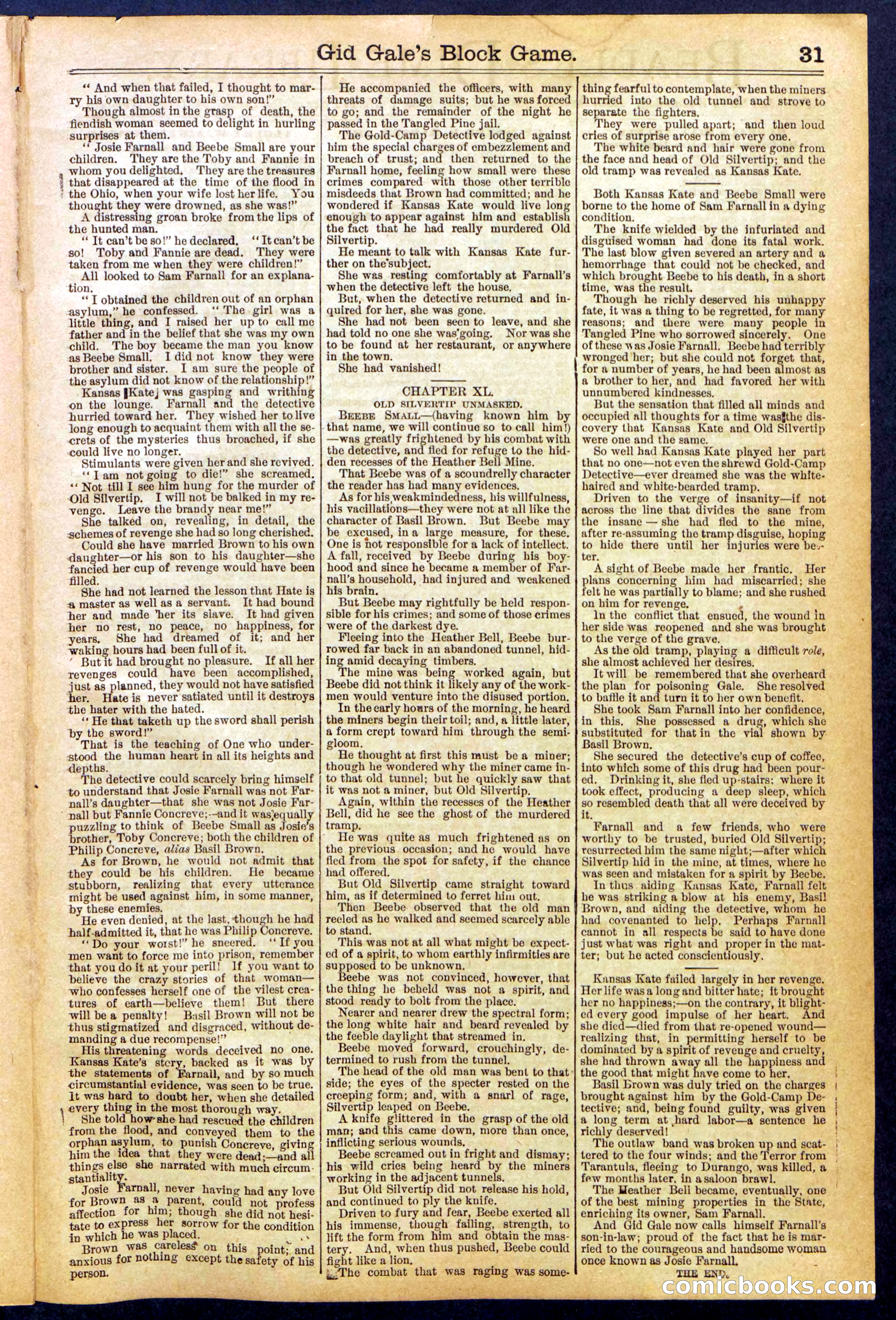Beadle's New York Dime Library No. 832 — page 31 of 32