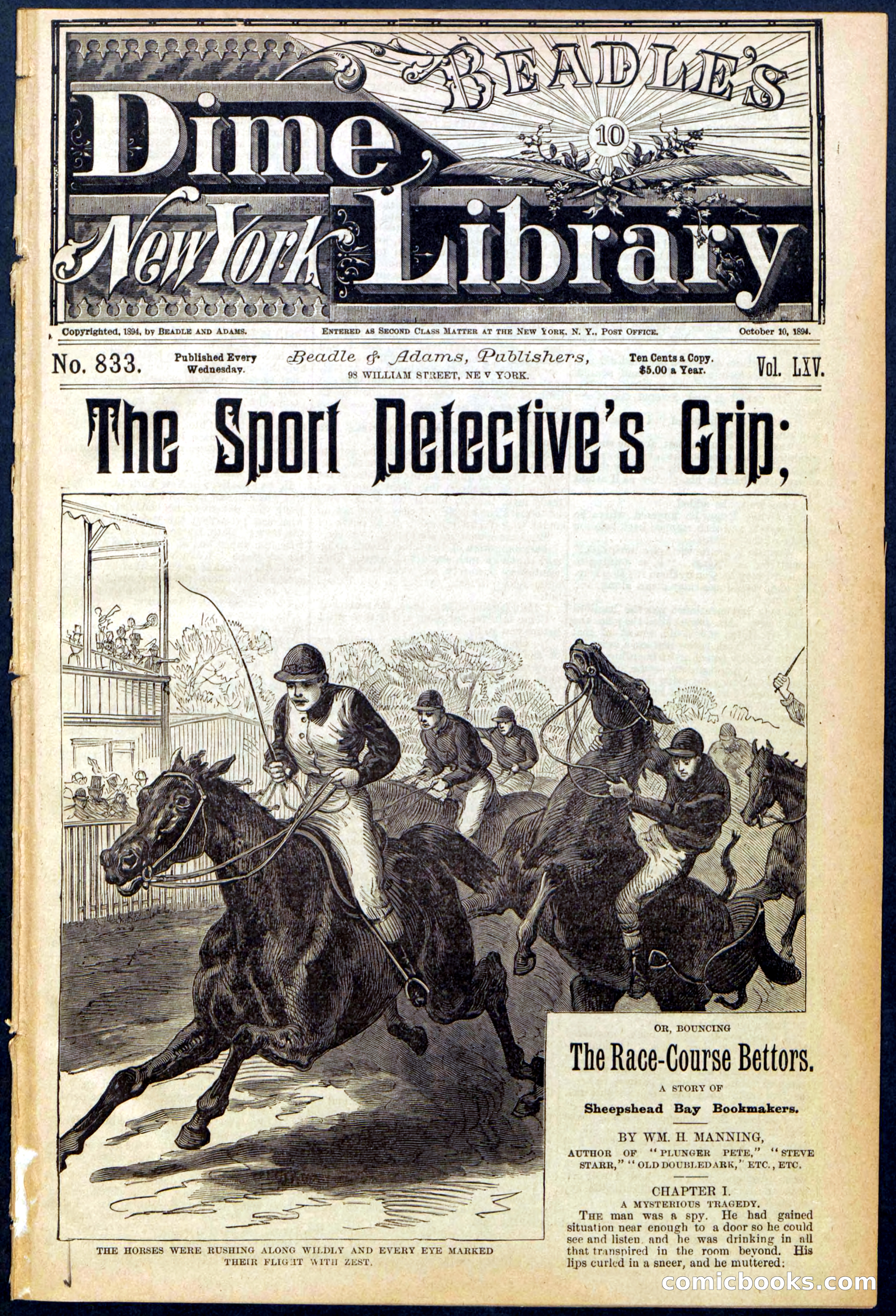Beadle's New York Dime Library No. 833 — page 1 of 32