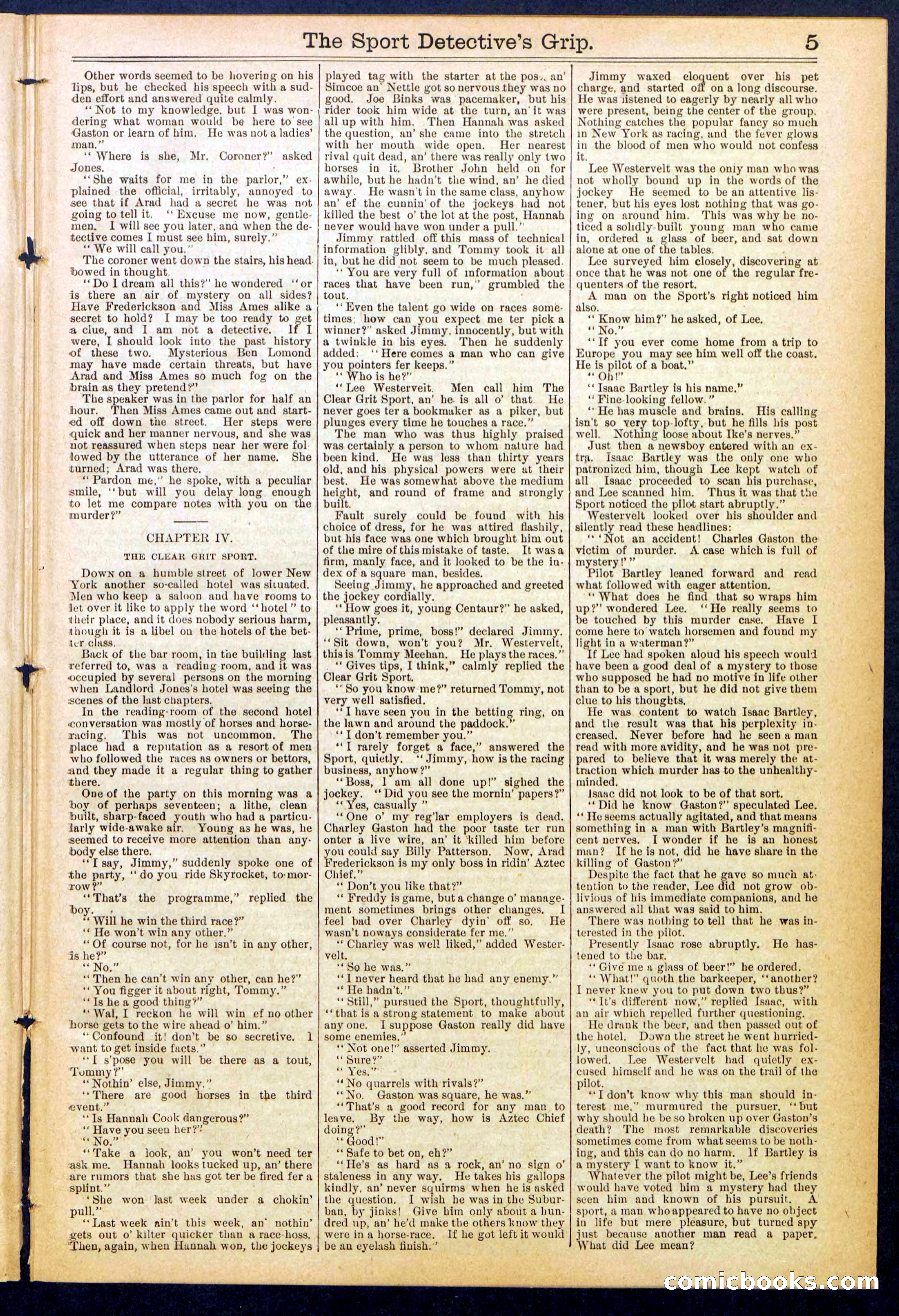 Beadle's New York Dime Library No. 833 — page 5 of 32