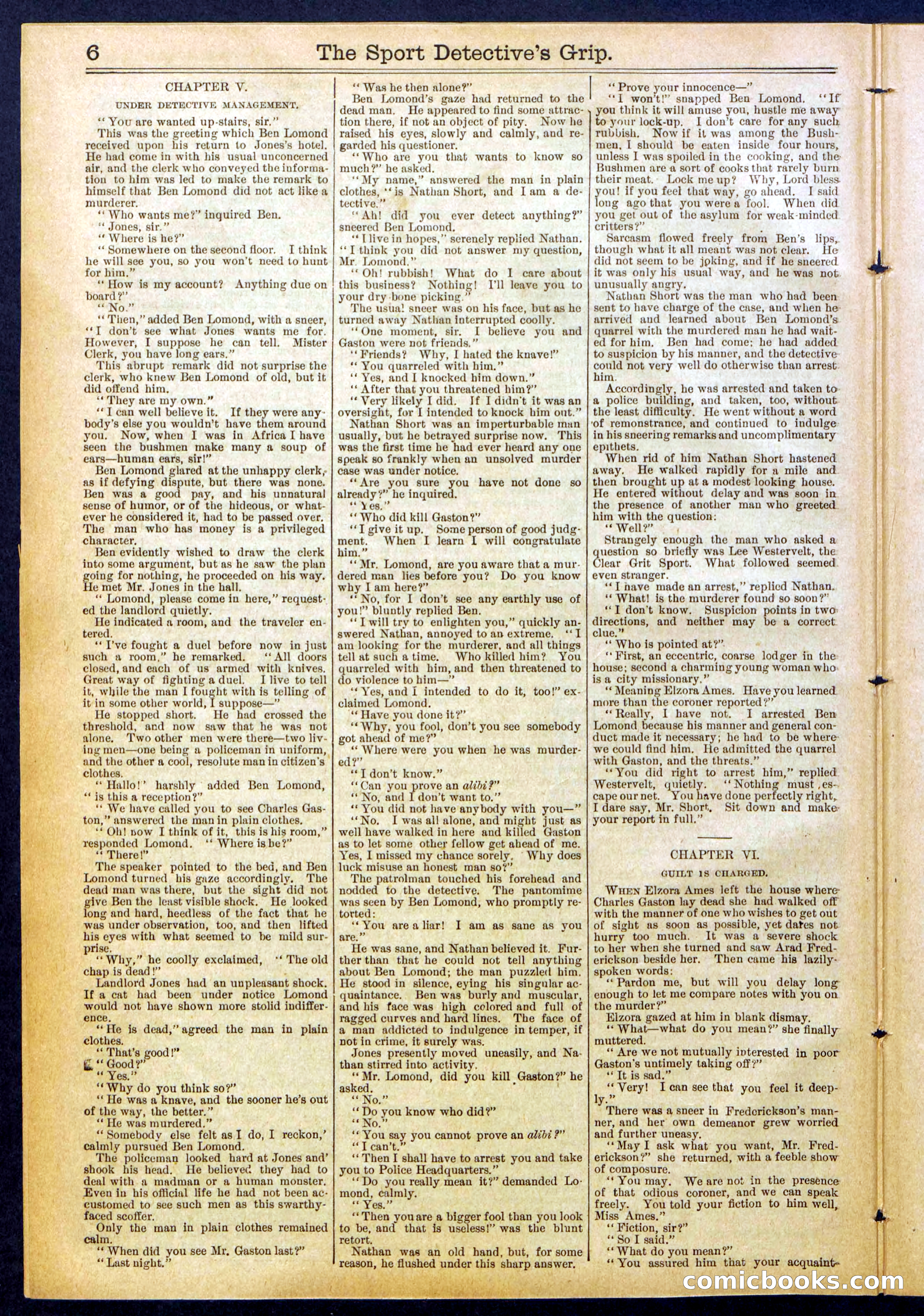 Beadle's New York Dime Library No. 833 — page 6 of 32