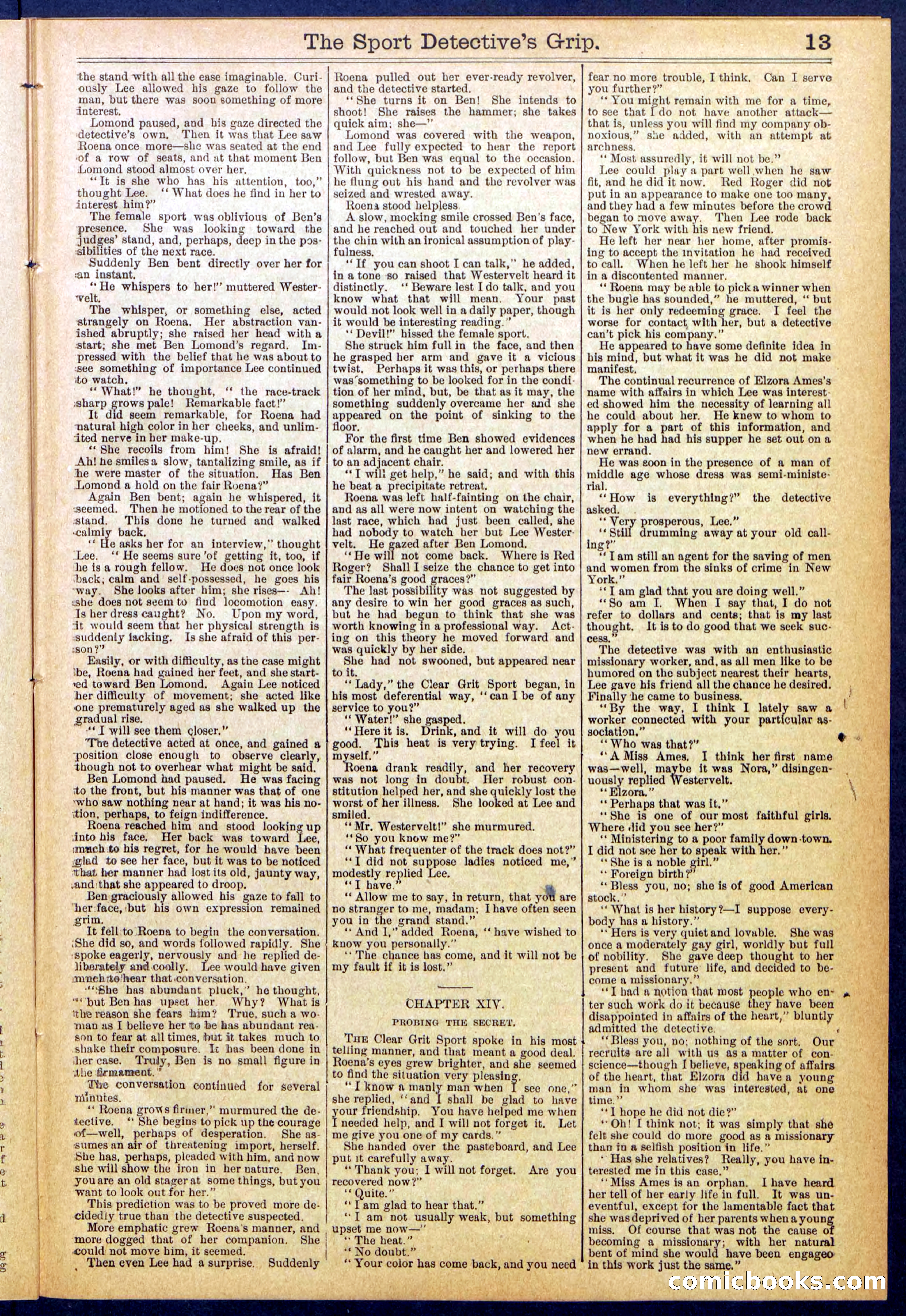 Beadle's New York Dime Library No. 833 — page 13 of 32