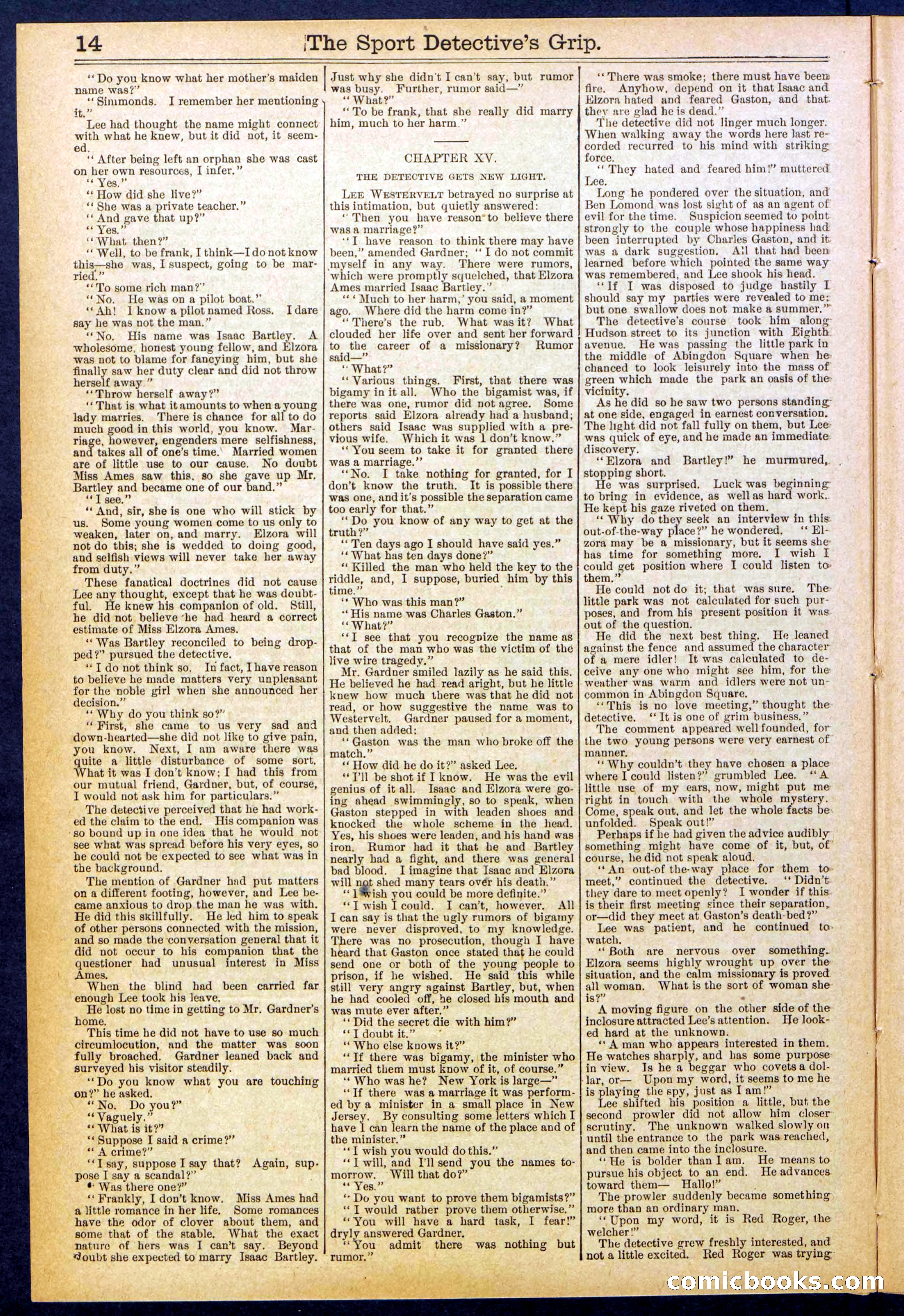 Beadle's New York Dime Library No. 833 — page 14 of 32
