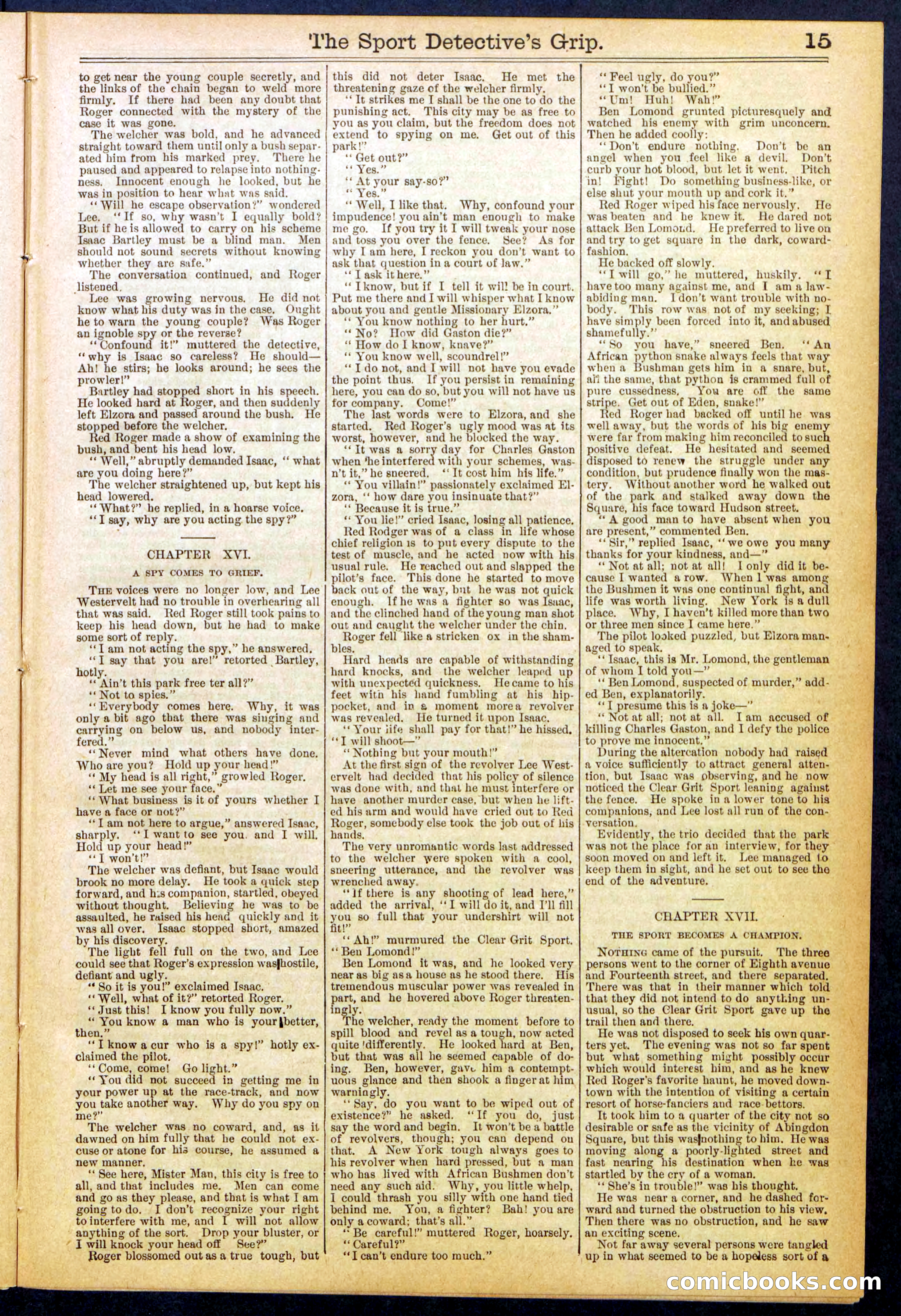 Beadle's New York Dime Library No. 833 — page 15 of 32