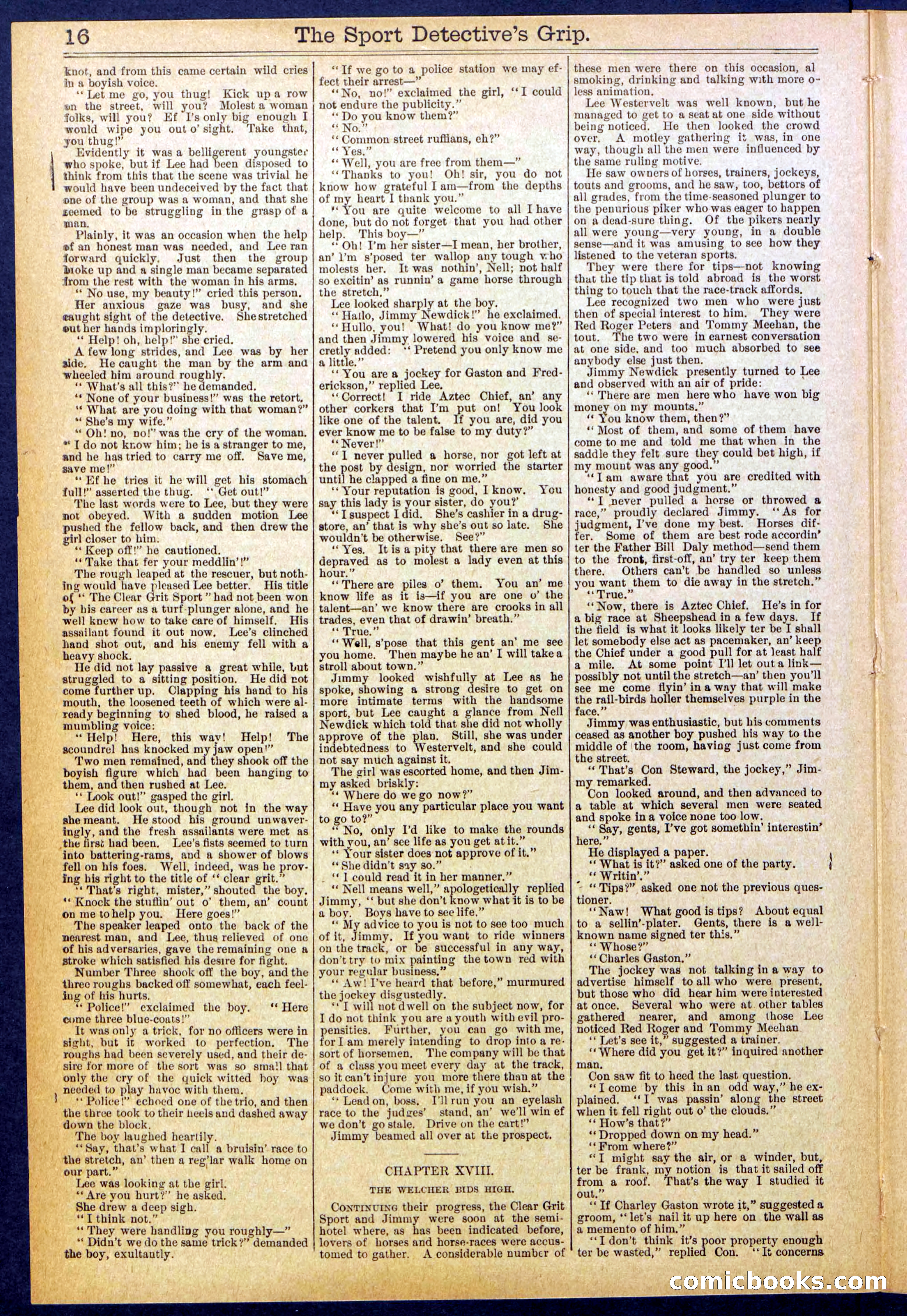 Beadle's New York Dime Library No. 833 — page 16 of 32