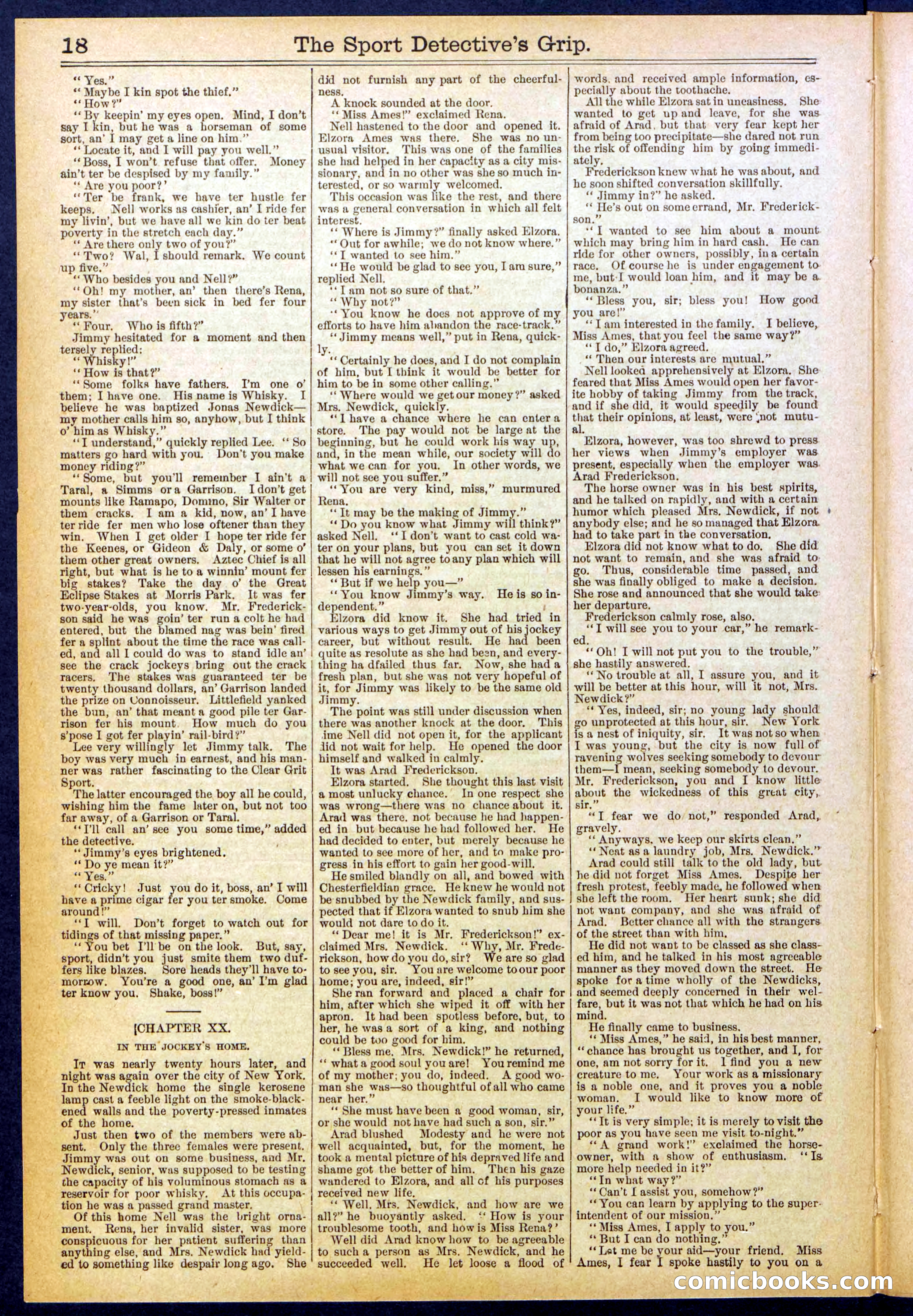 Beadle's New York Dime Library No. 833 — page 18 of 32