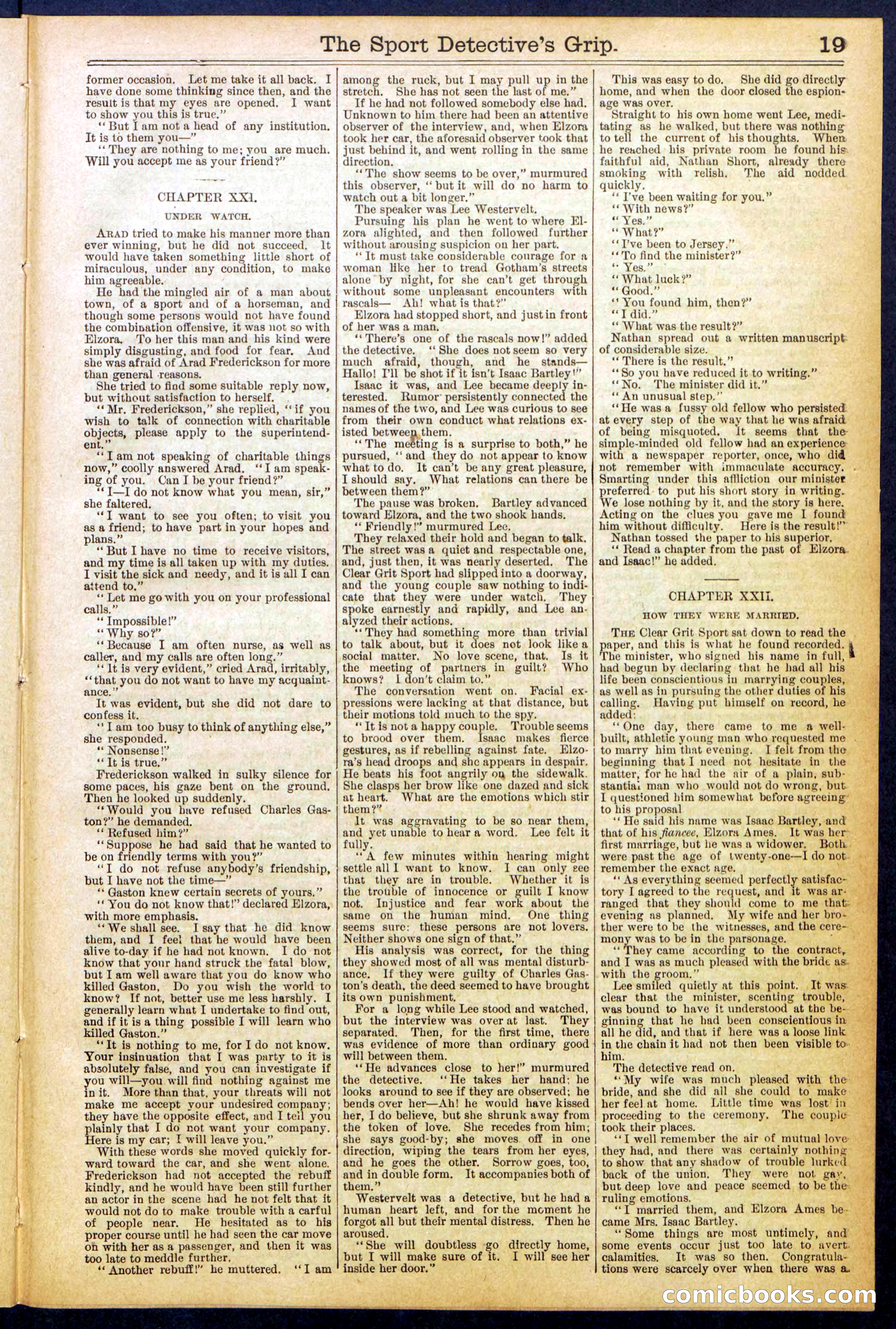 Beadle's New York Dime Library No. 833 — page 19 of 32