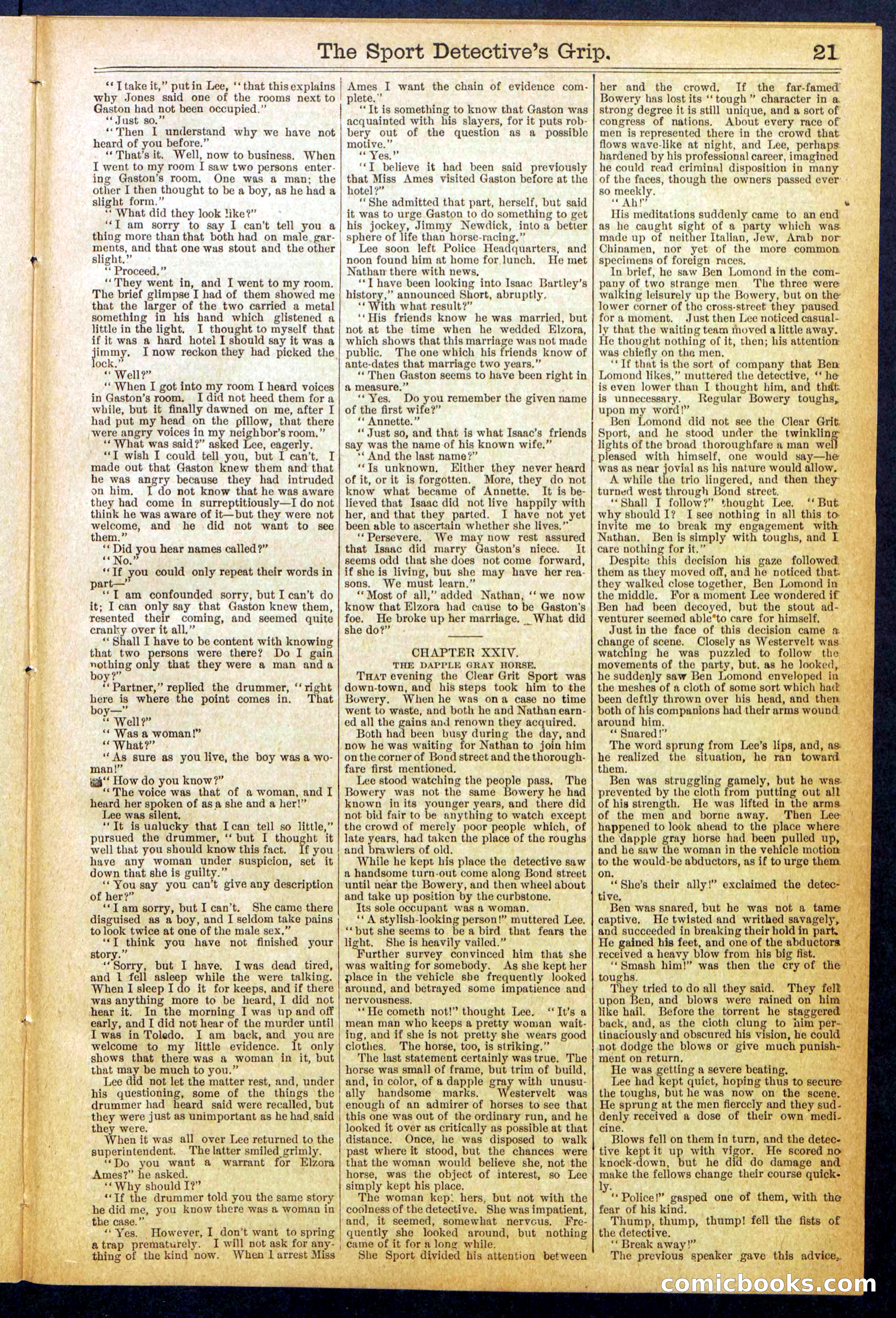 Beadle's New York Dime Library No. 833 — page 21 of 32