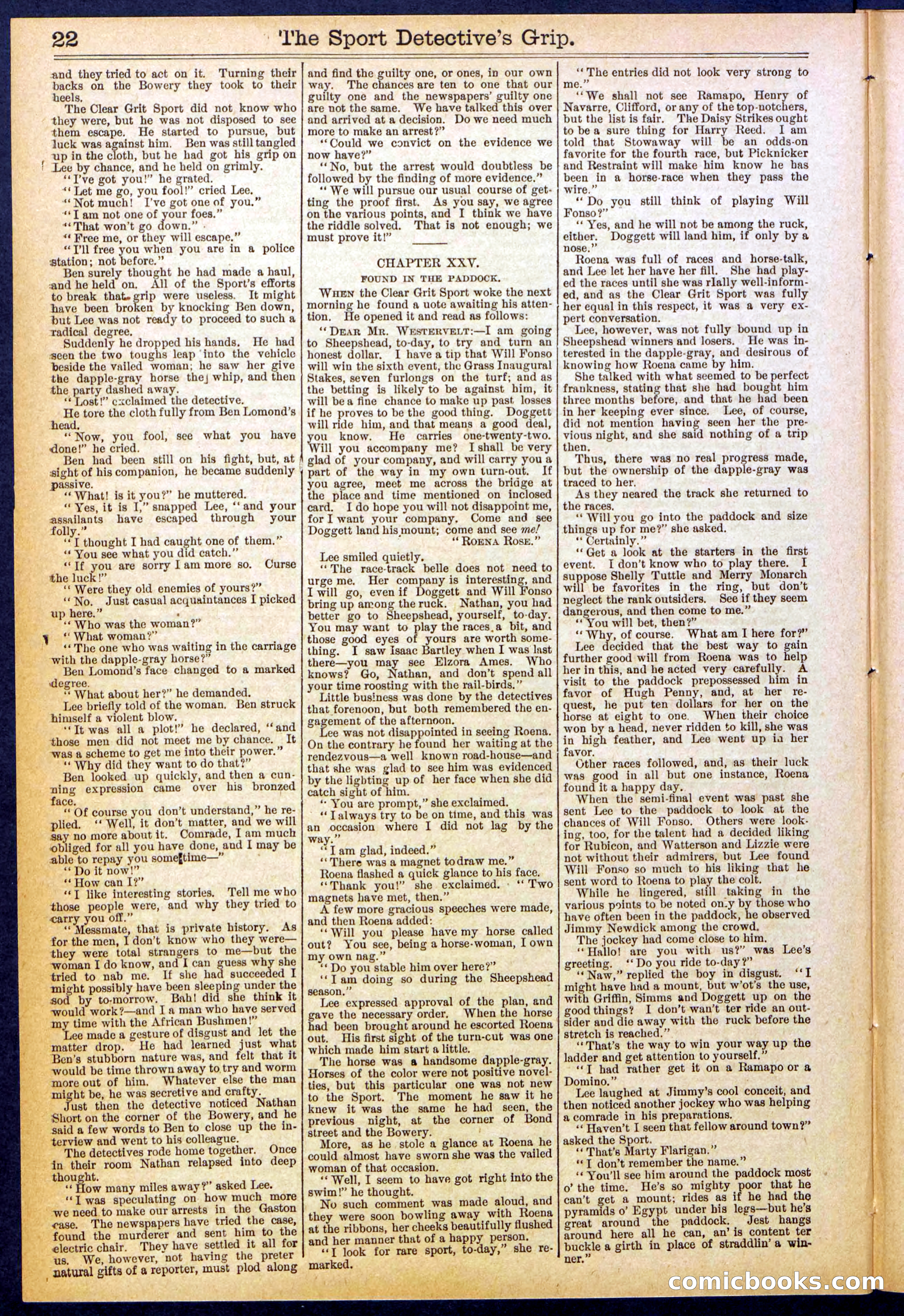 Beadle's New York Dime Library No. 833 — page 22 of 32