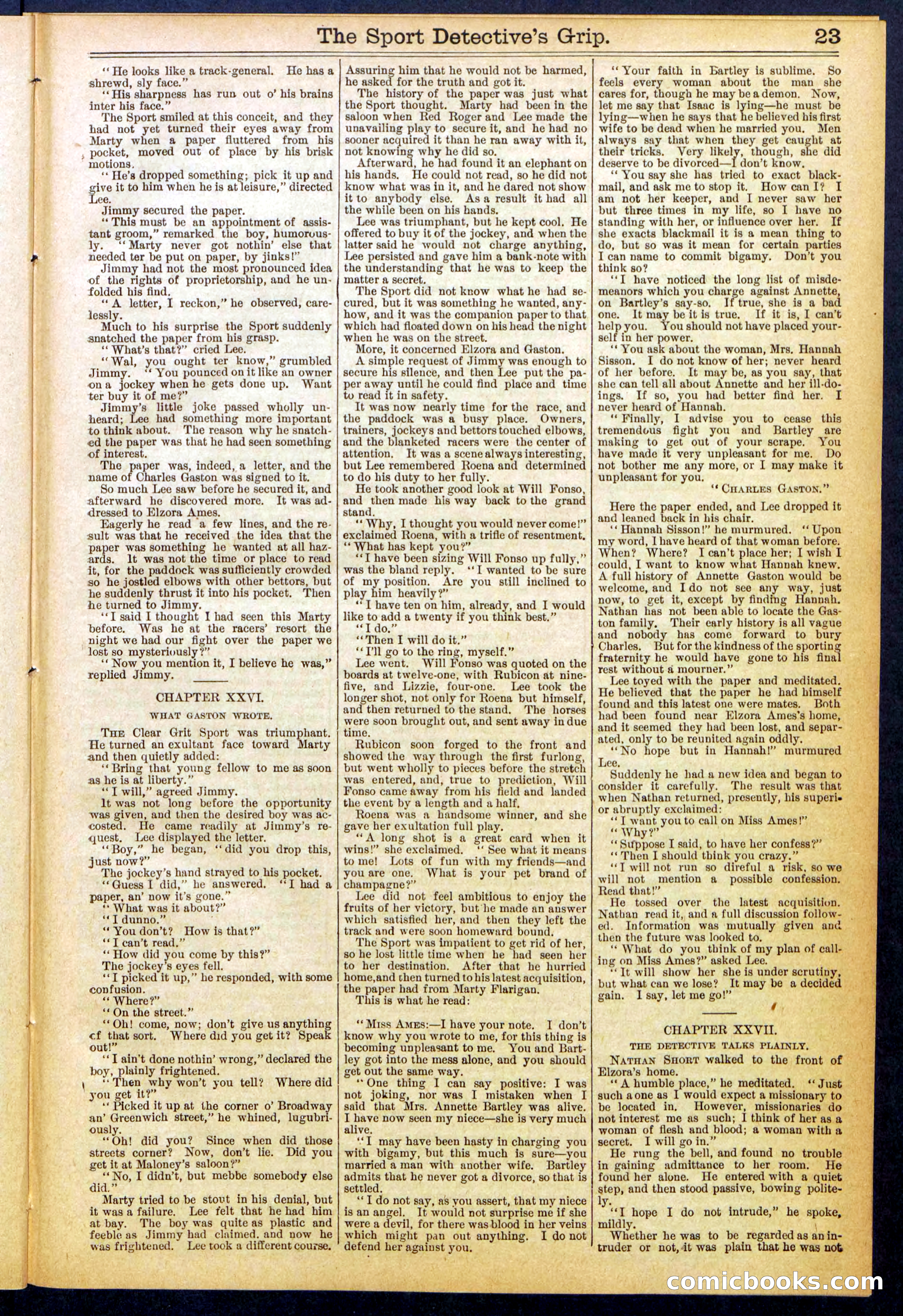 Beadle's New York Dime Library No. 833 — page 23 of 32