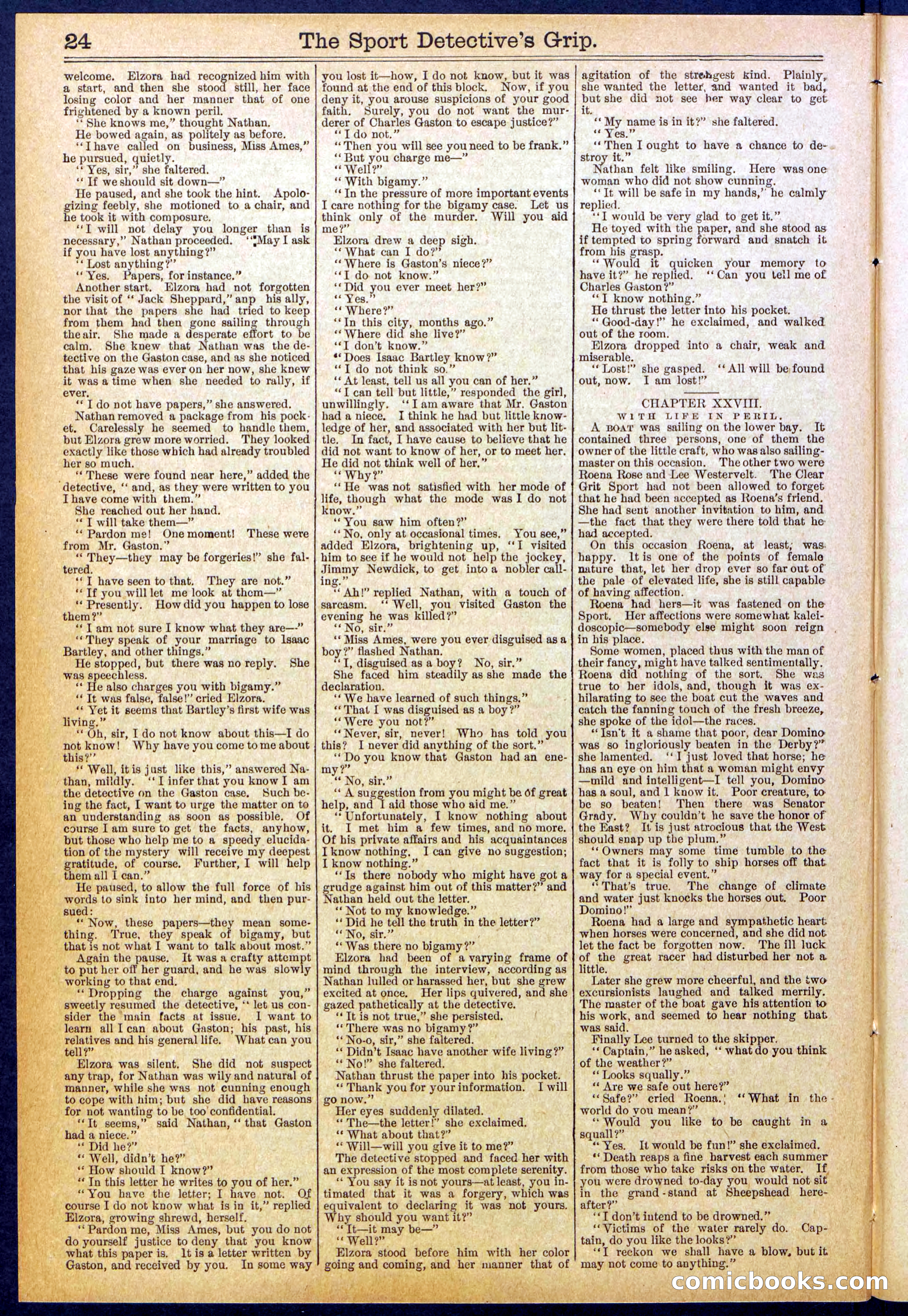 Beadle's New York Dime Library No. 833 — page 24 of 32