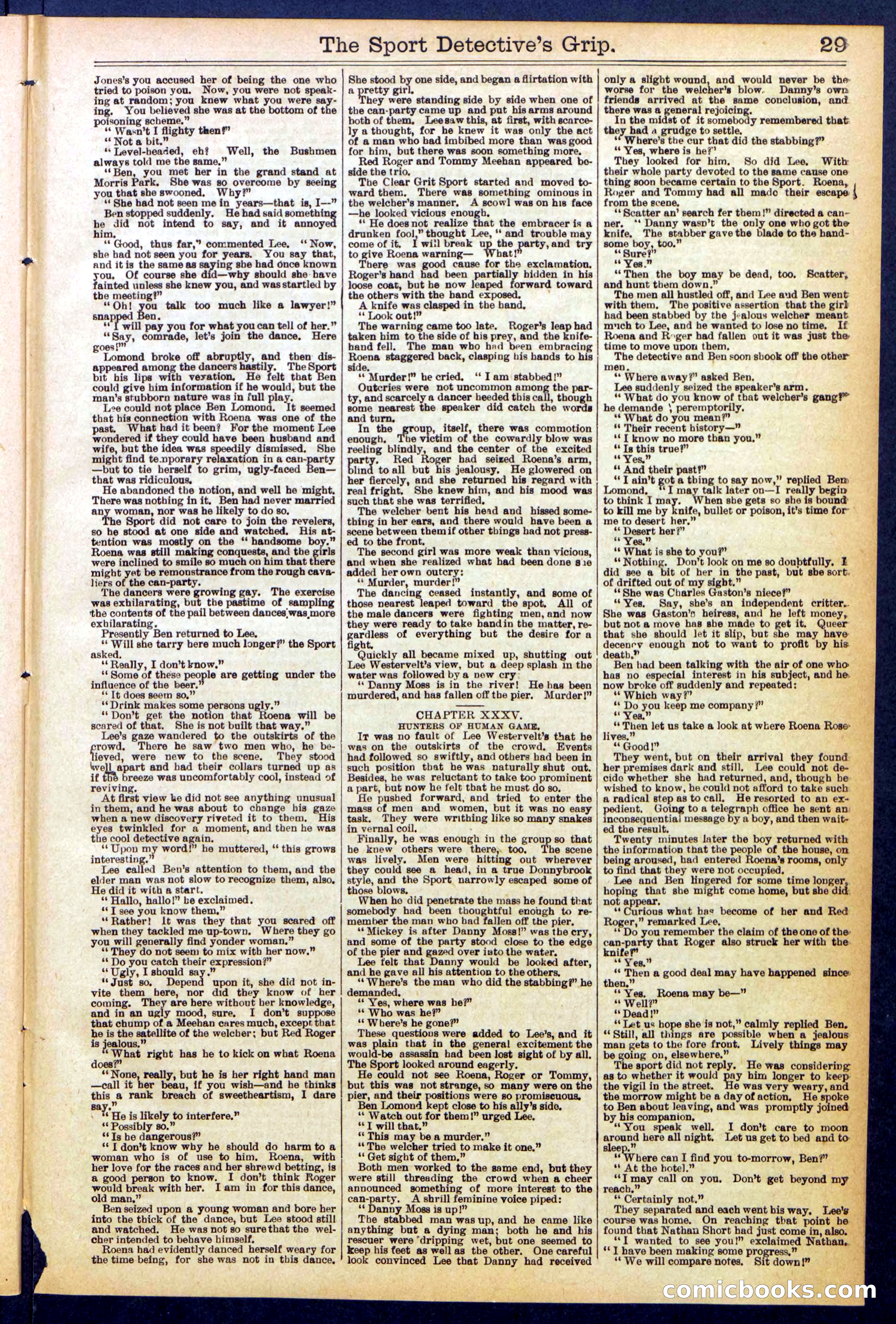 Beadle's New York Dime Library No. 833 — page 29 of 32
