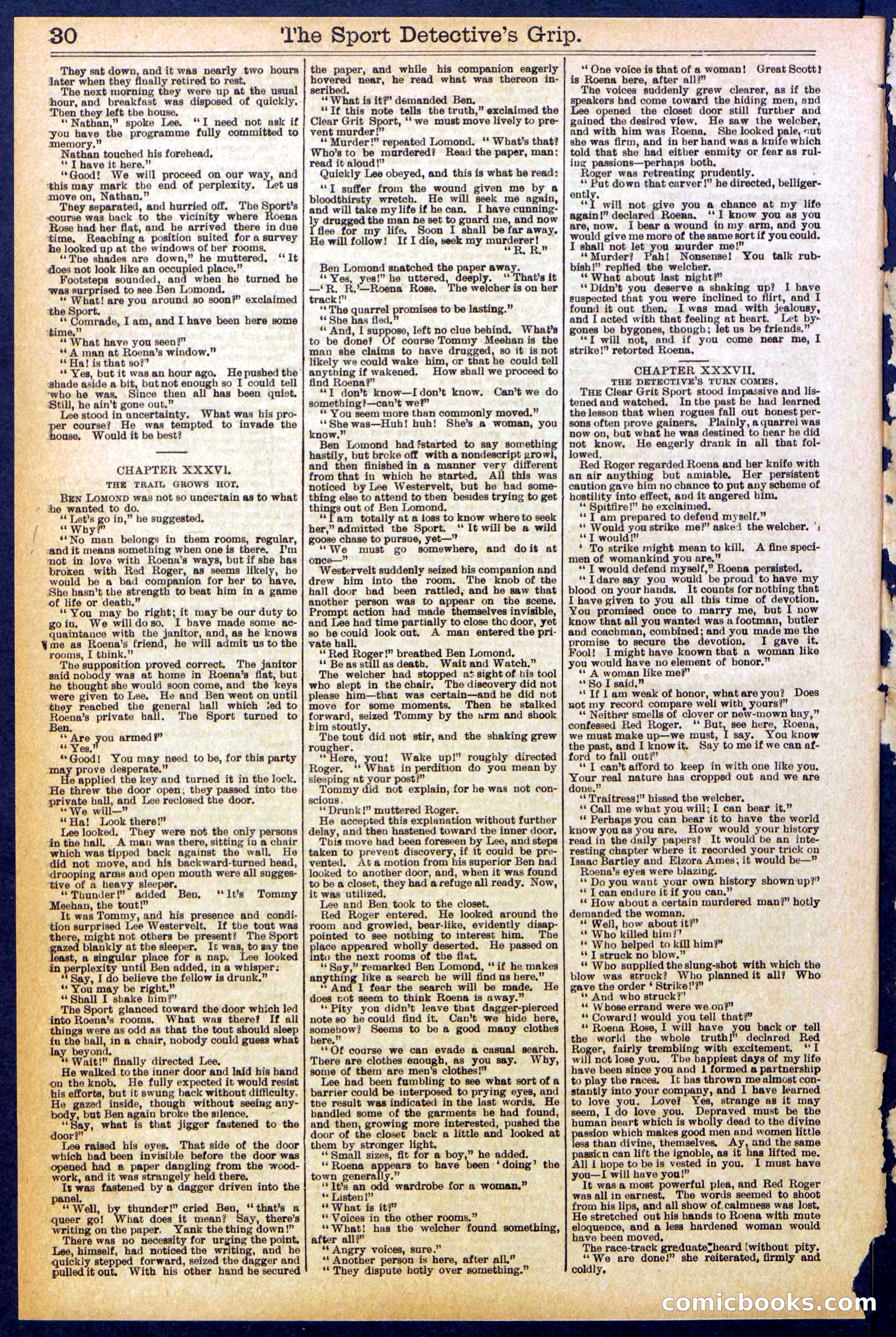 Beadle's New York Dime Library No. 833 — page 30 of 32