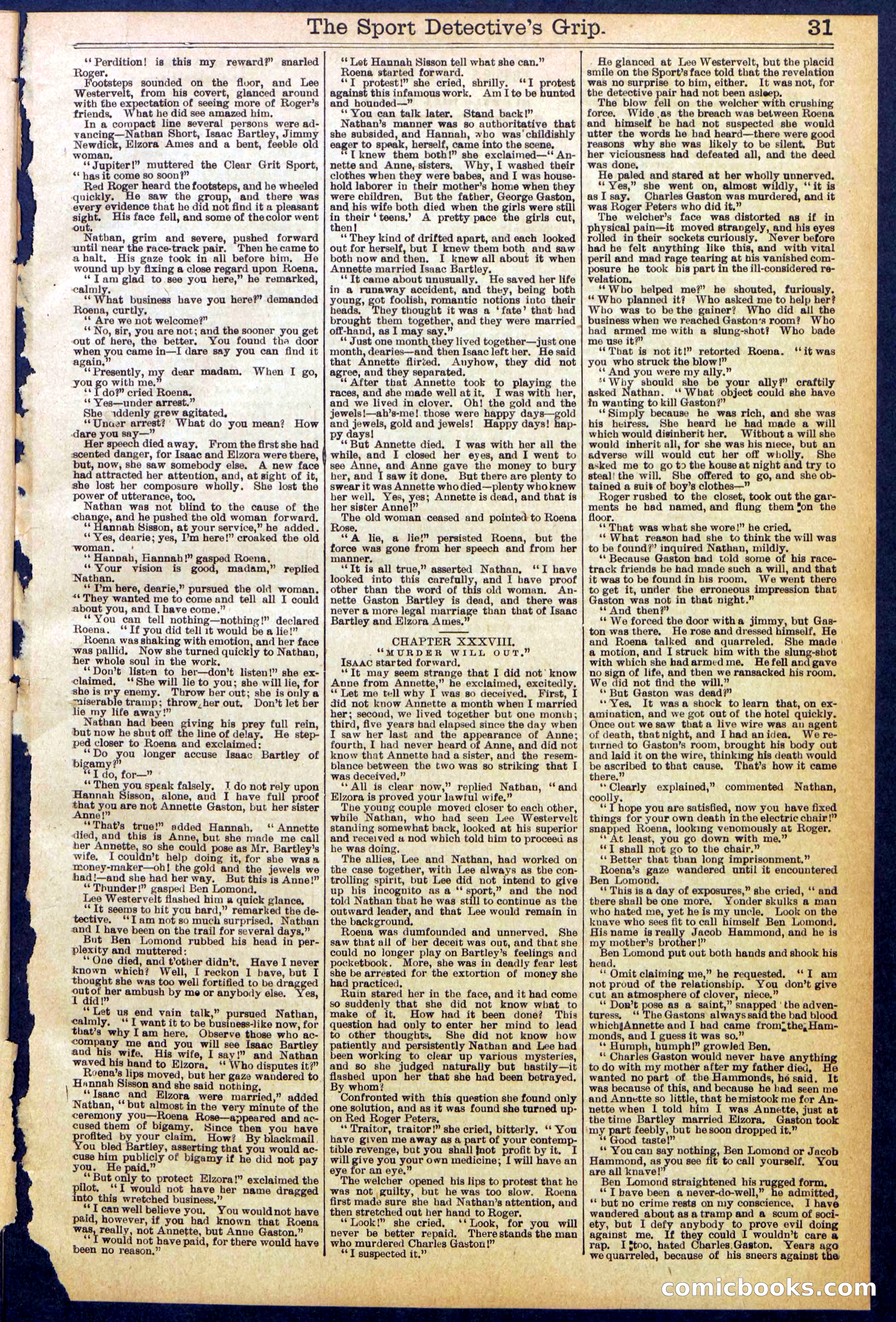 Beadle's New York Dime Library No. 833 — page 31 of 32