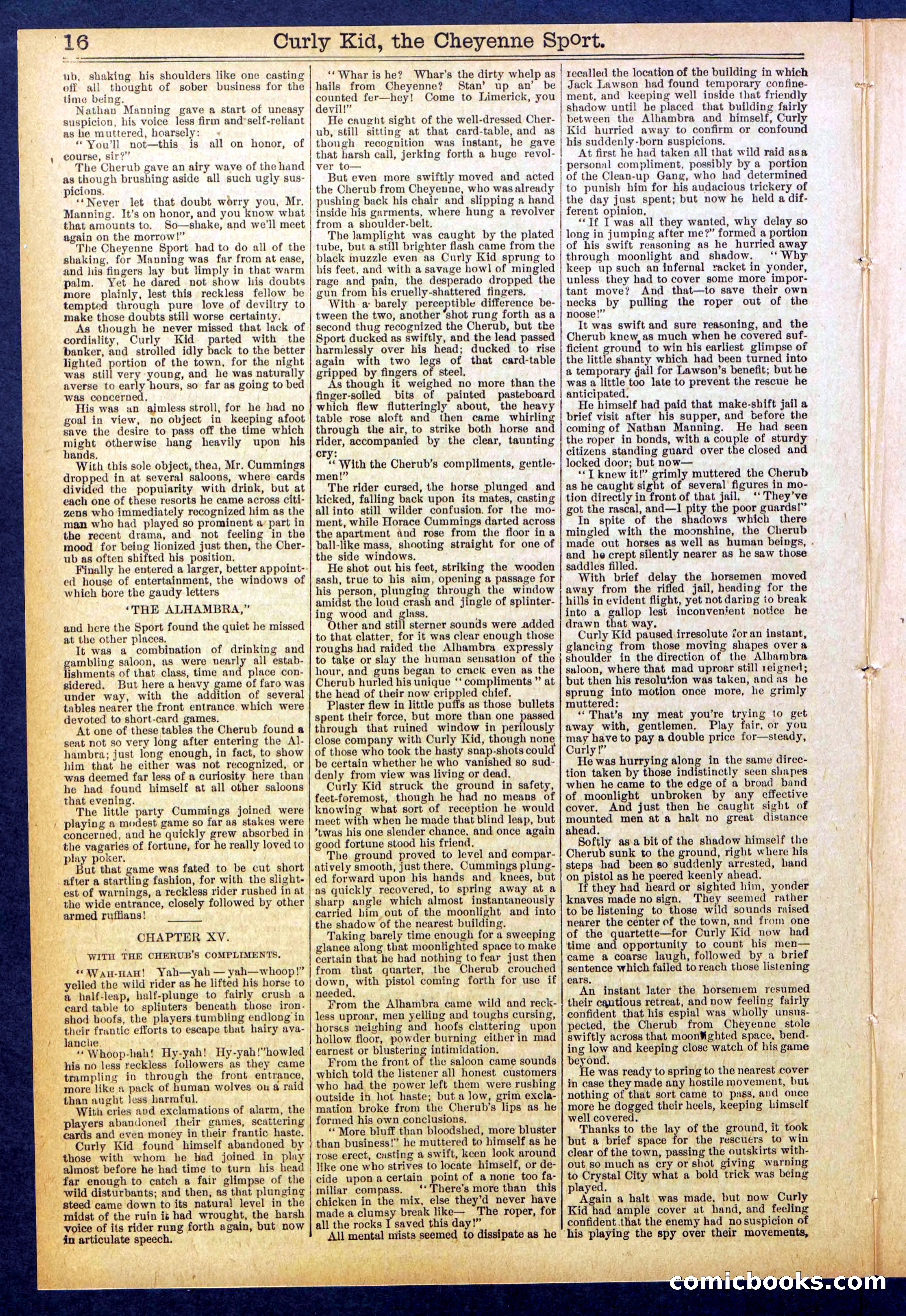 Beadle's New York Dime Library, No. 837 — page 16 of 32