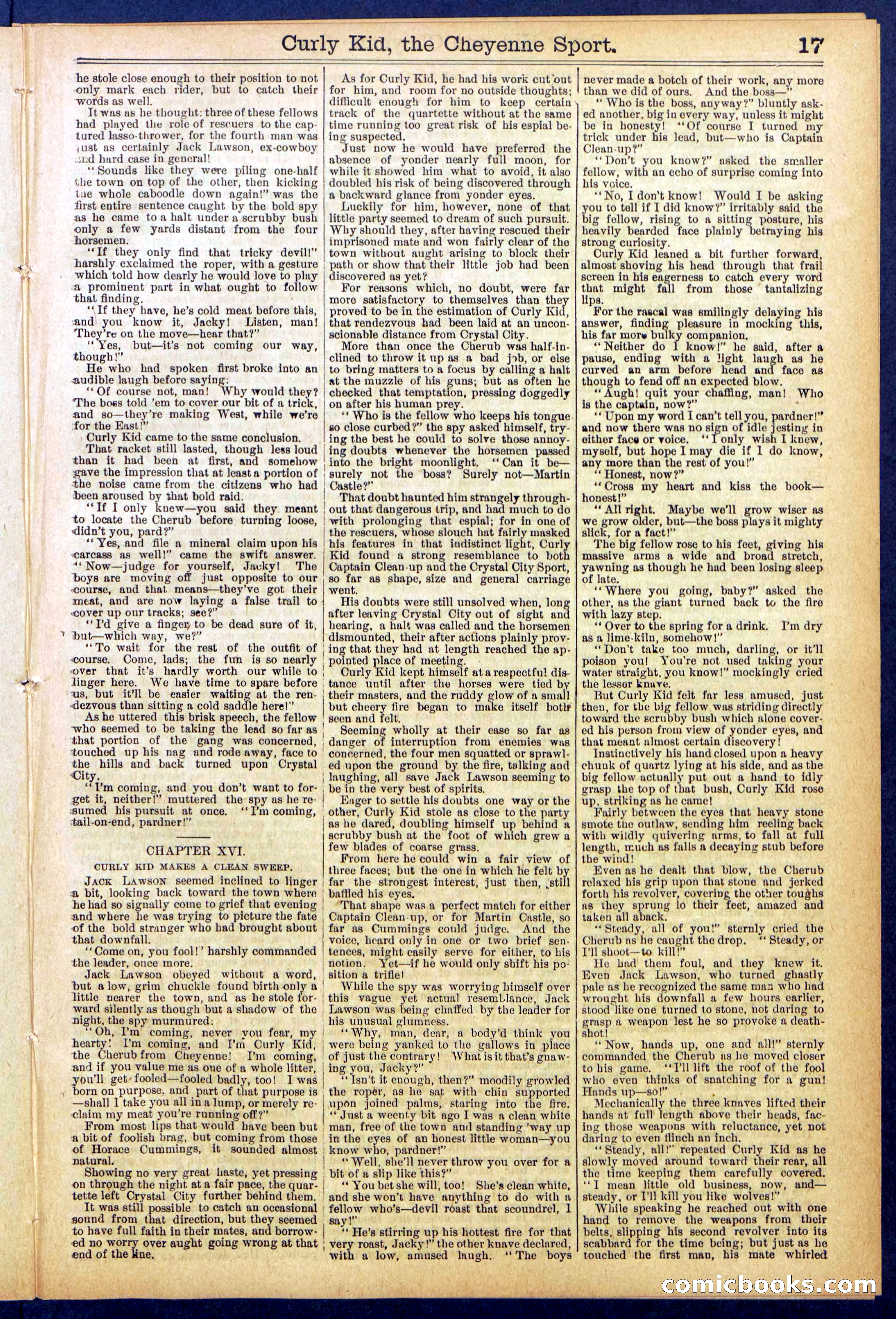 Beadle's New York Dime Library, No. 837 — page 17 of 32