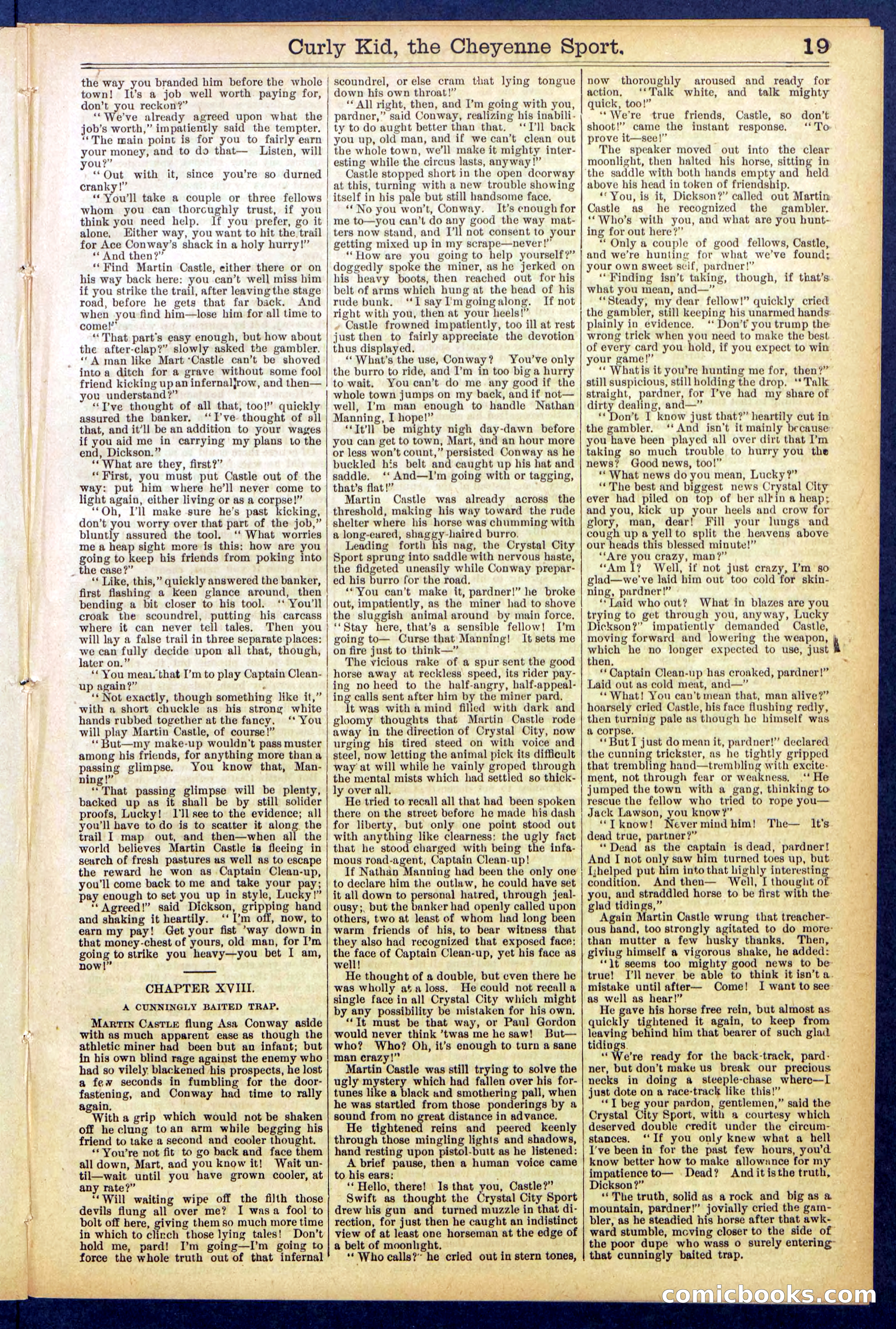 Beadle's New York Dime Library, No. 837 — page 19 of 32