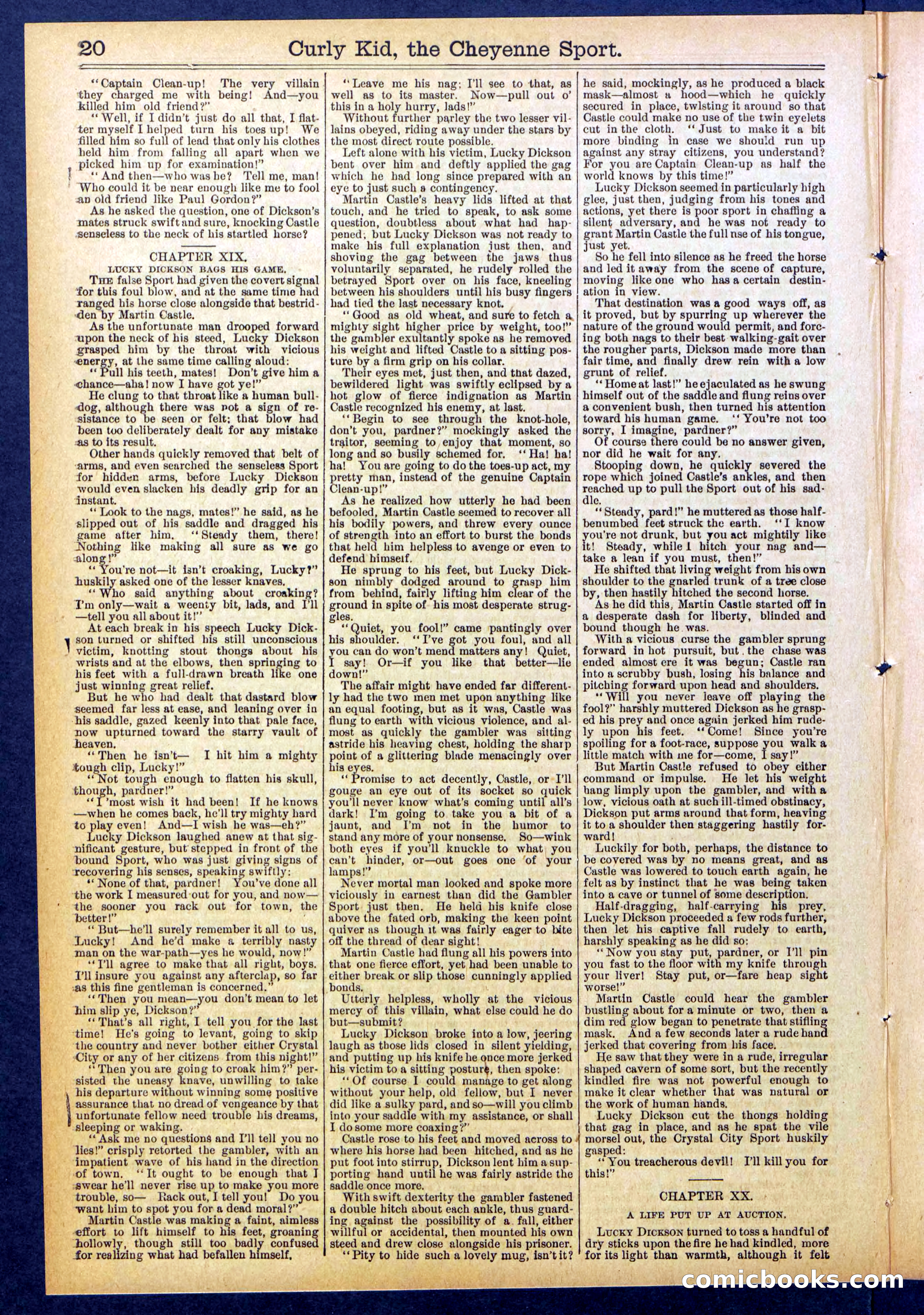 Beadle's New York Dime Library, No. 837 — page 20 of 32