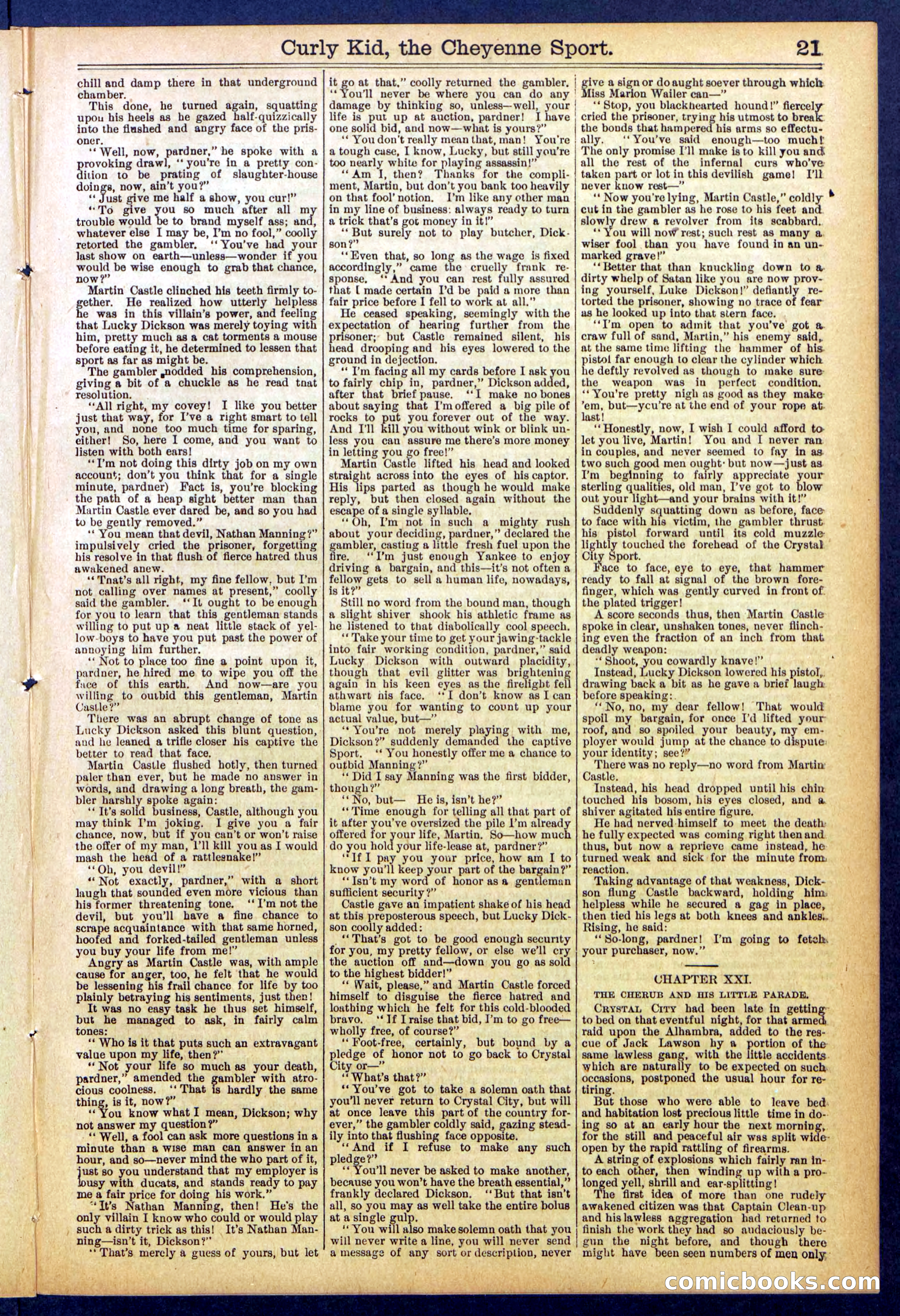 Beadle's New York Dime Library, No. 837 — page 21 of 32