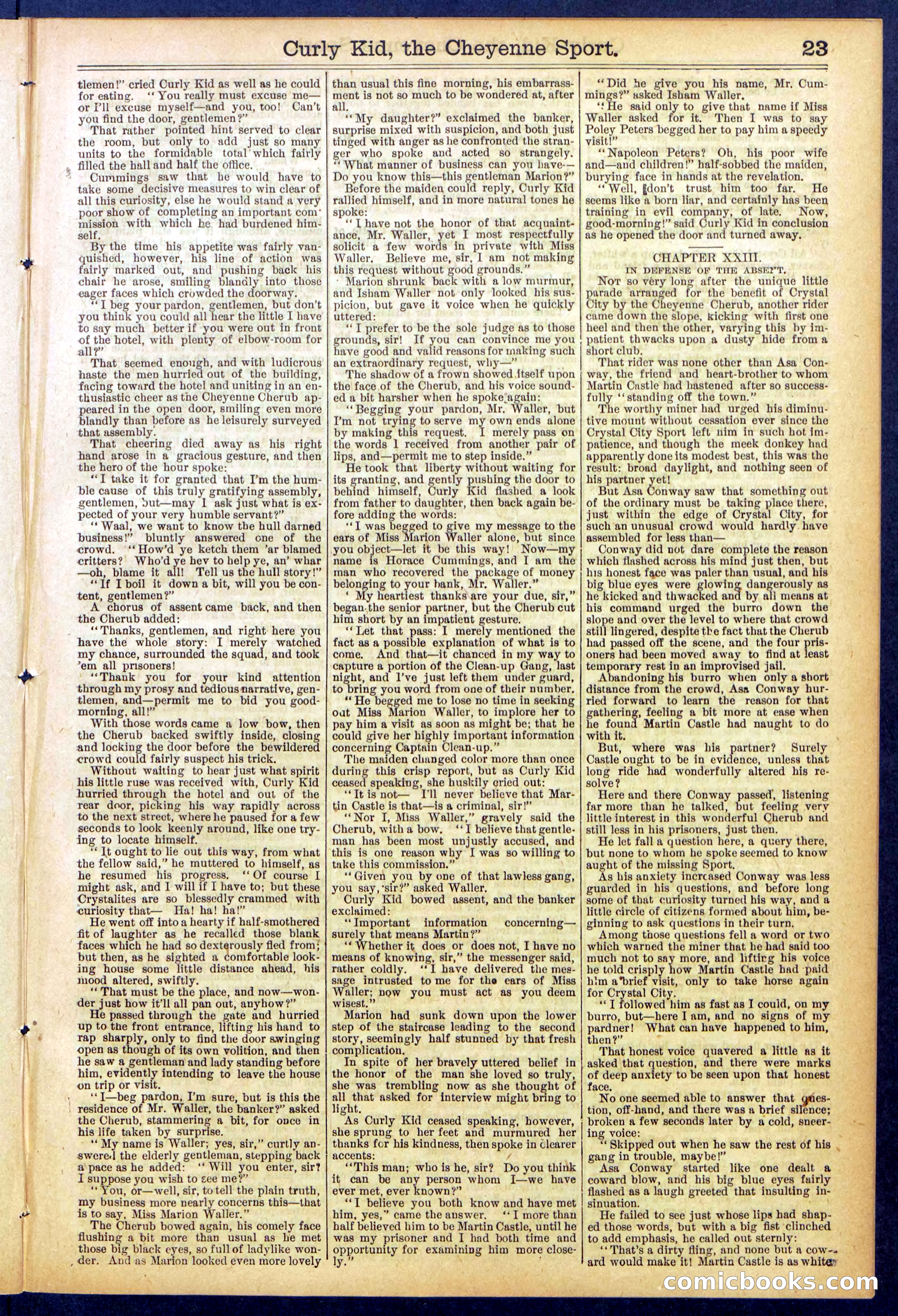 Beadle's New York Dime Library, No. 837 — page 23 of 32