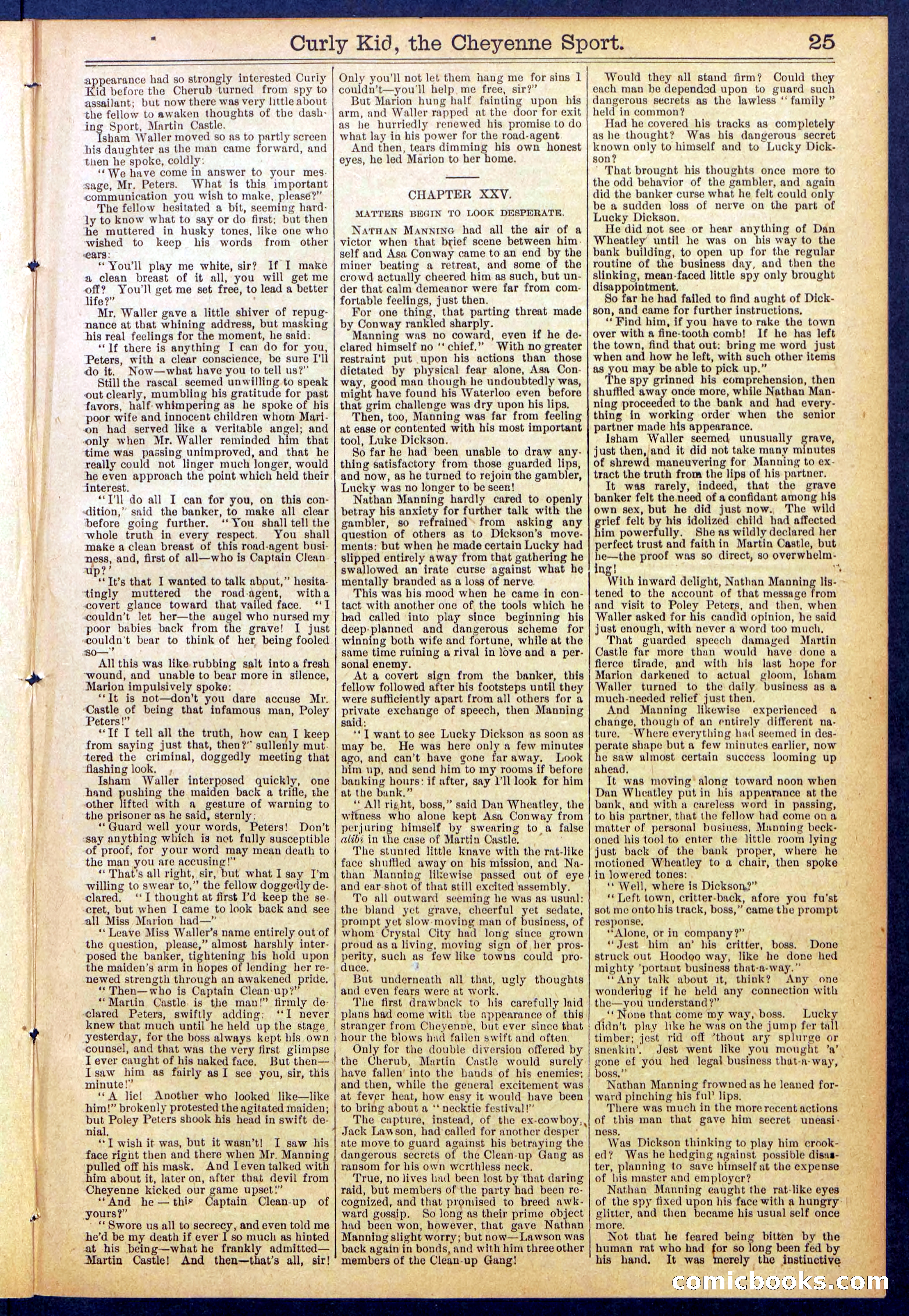 Beadle's New York Dime Library, No. 837 — page 25 of 32