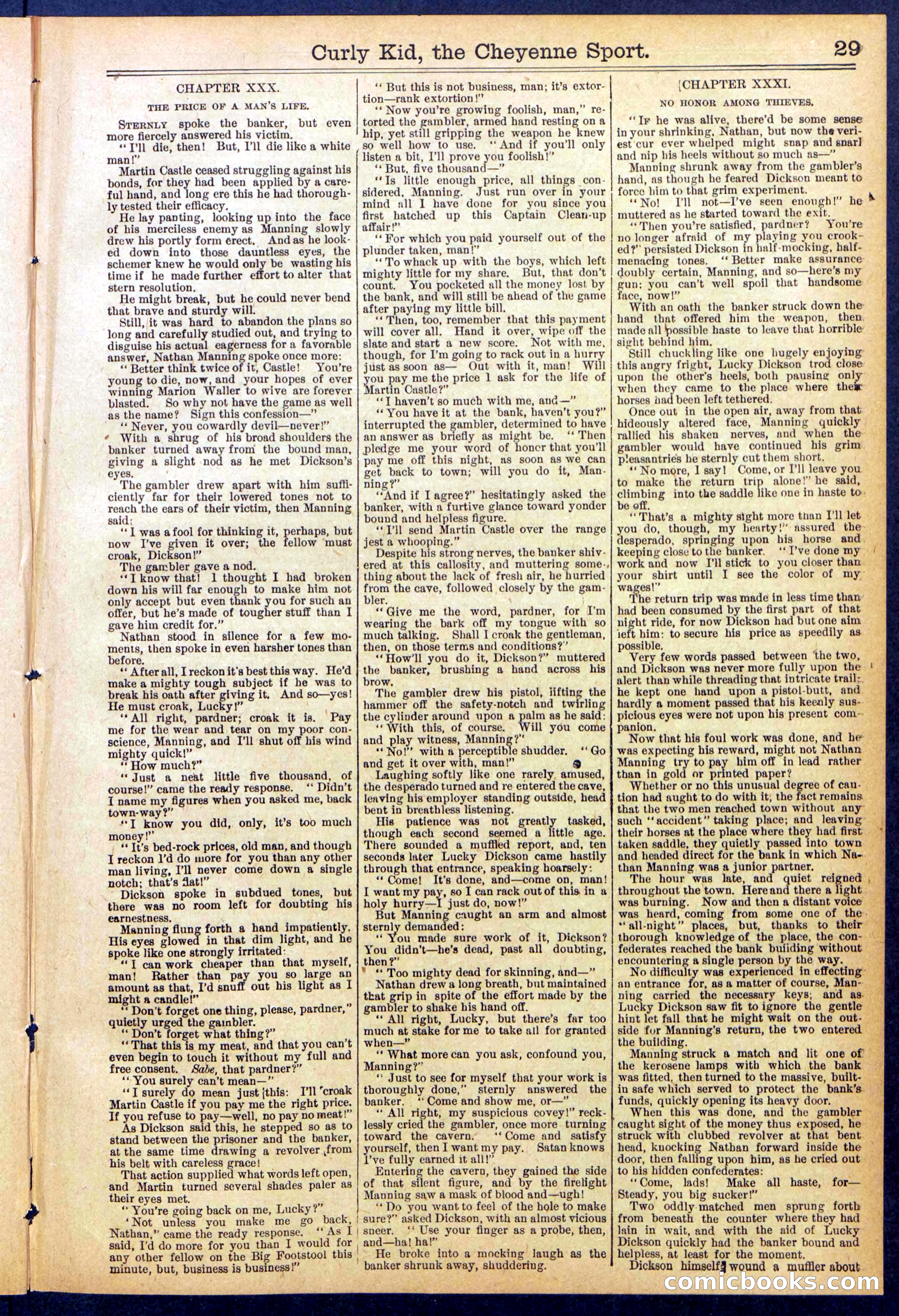 Beadle's New York Dime Library, No. 837 — page 29 of 32