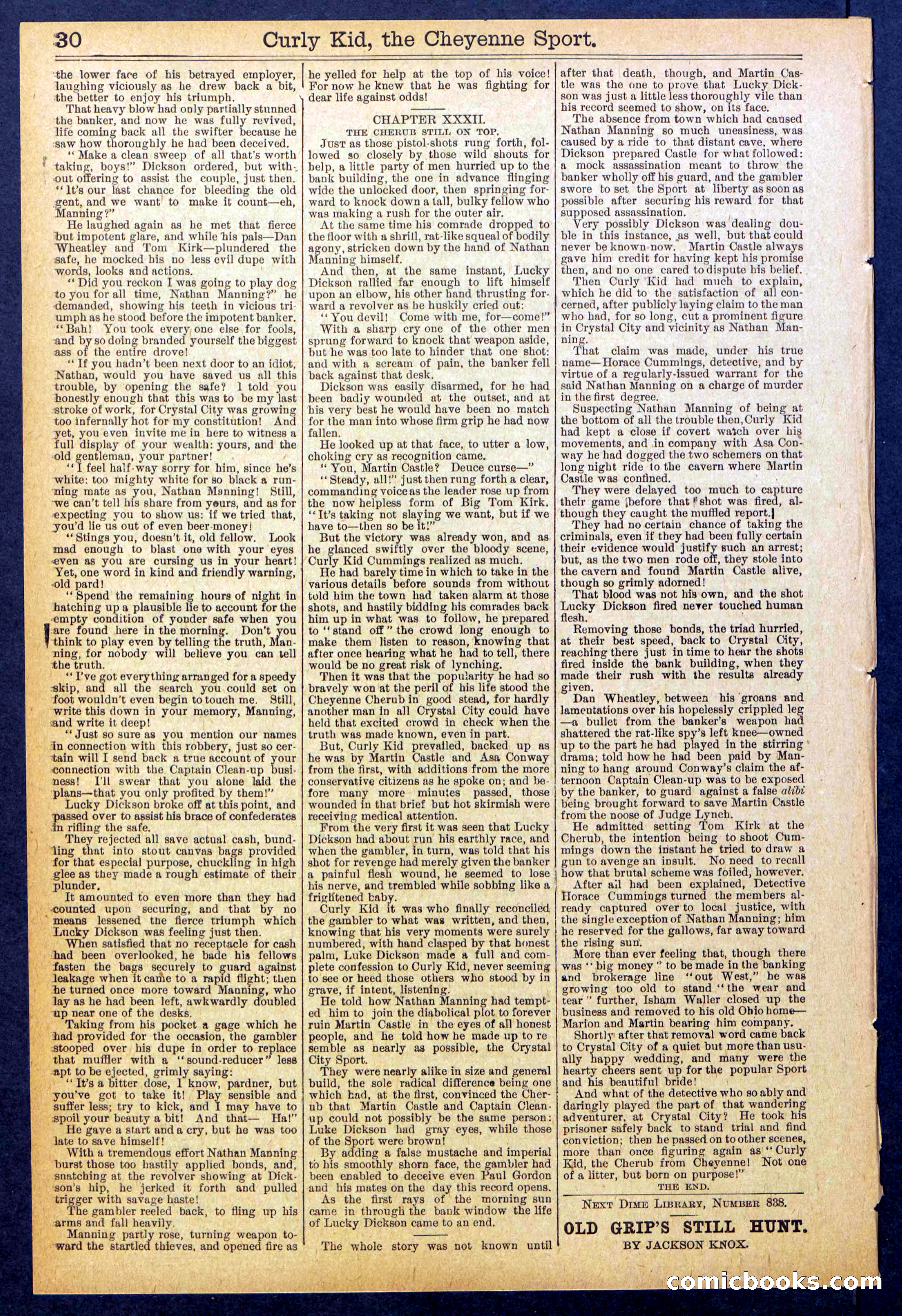 Beadle's New York Dime Library, No. 837 — page 30 of 32