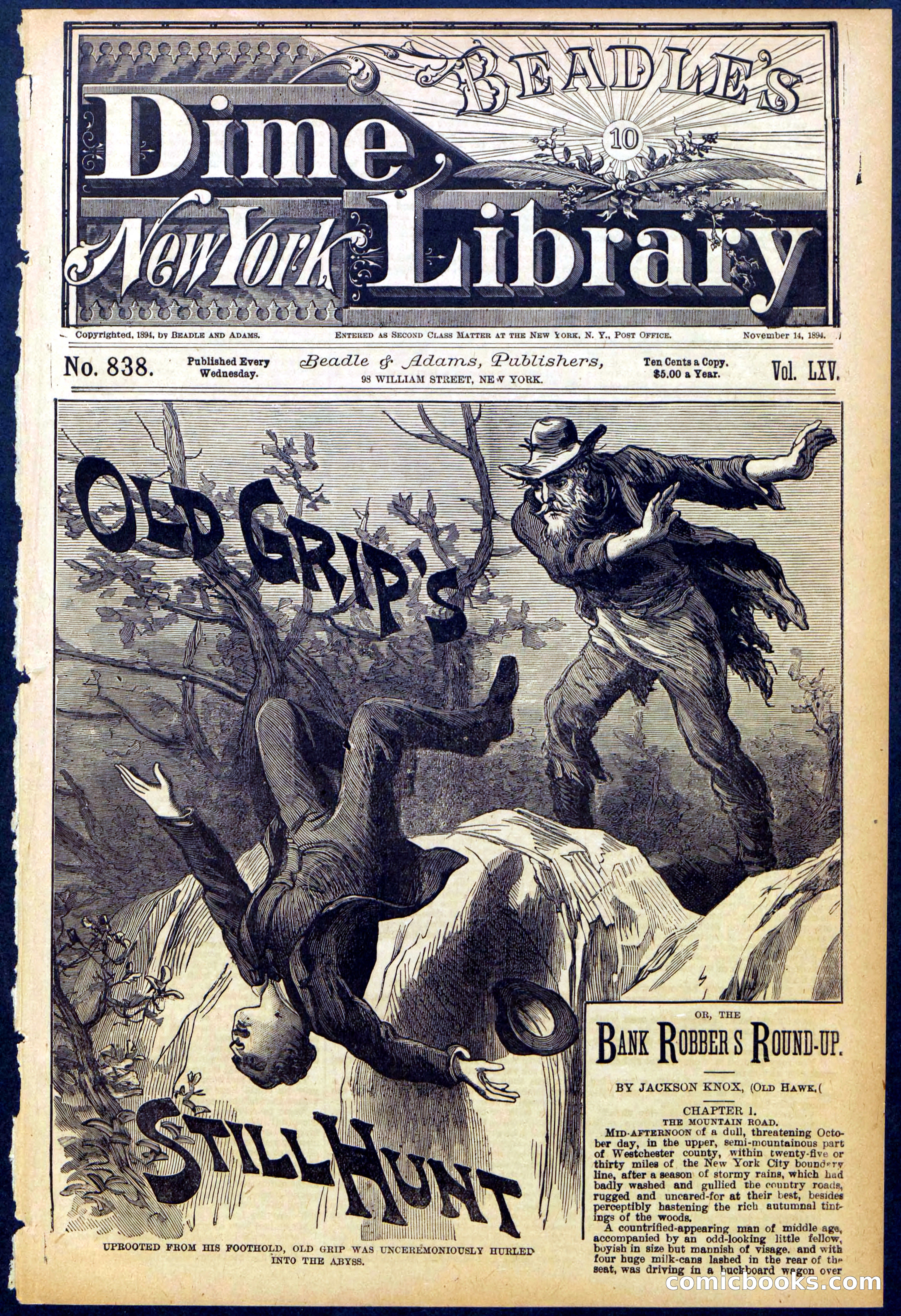 Beadle's New York Dime Library No. 838 — page 1 of 32