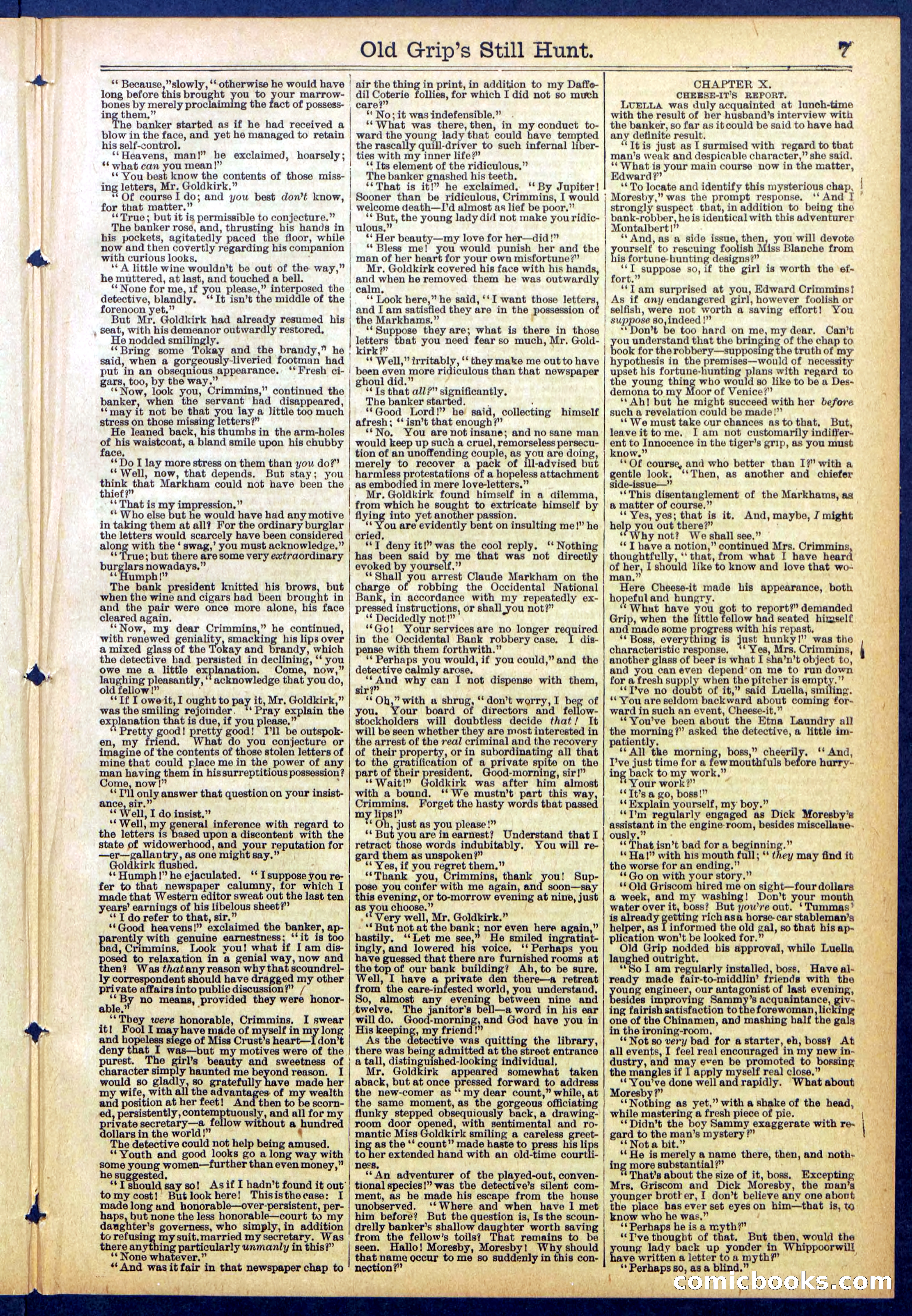Beadle's New York Dime Library No. 838 — page 7 of 32