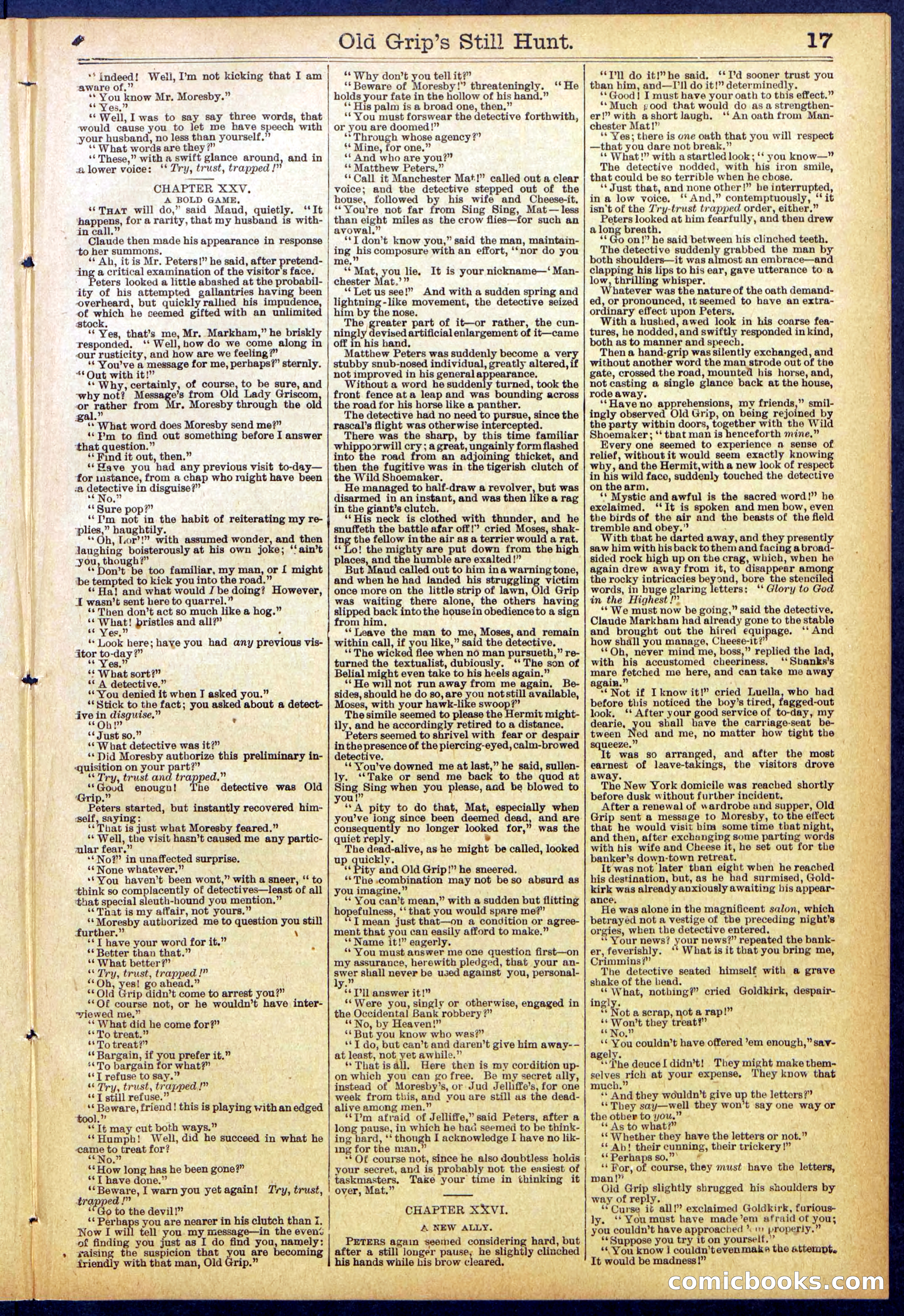 Beadle's New York Dime Library No. 838 — page 17 of 32