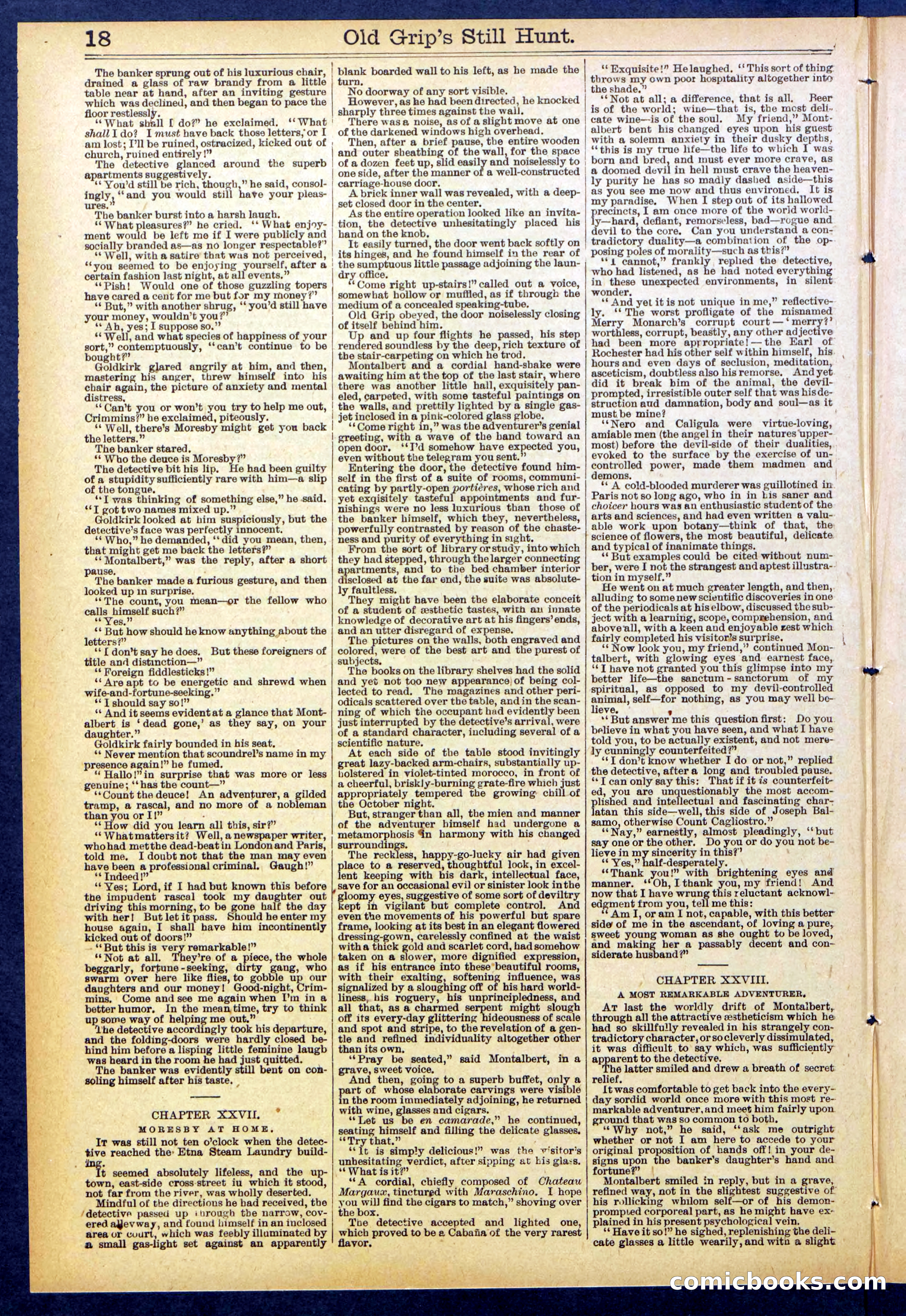 Beadle's New York Dime Library No. 838 — page 18 of 32