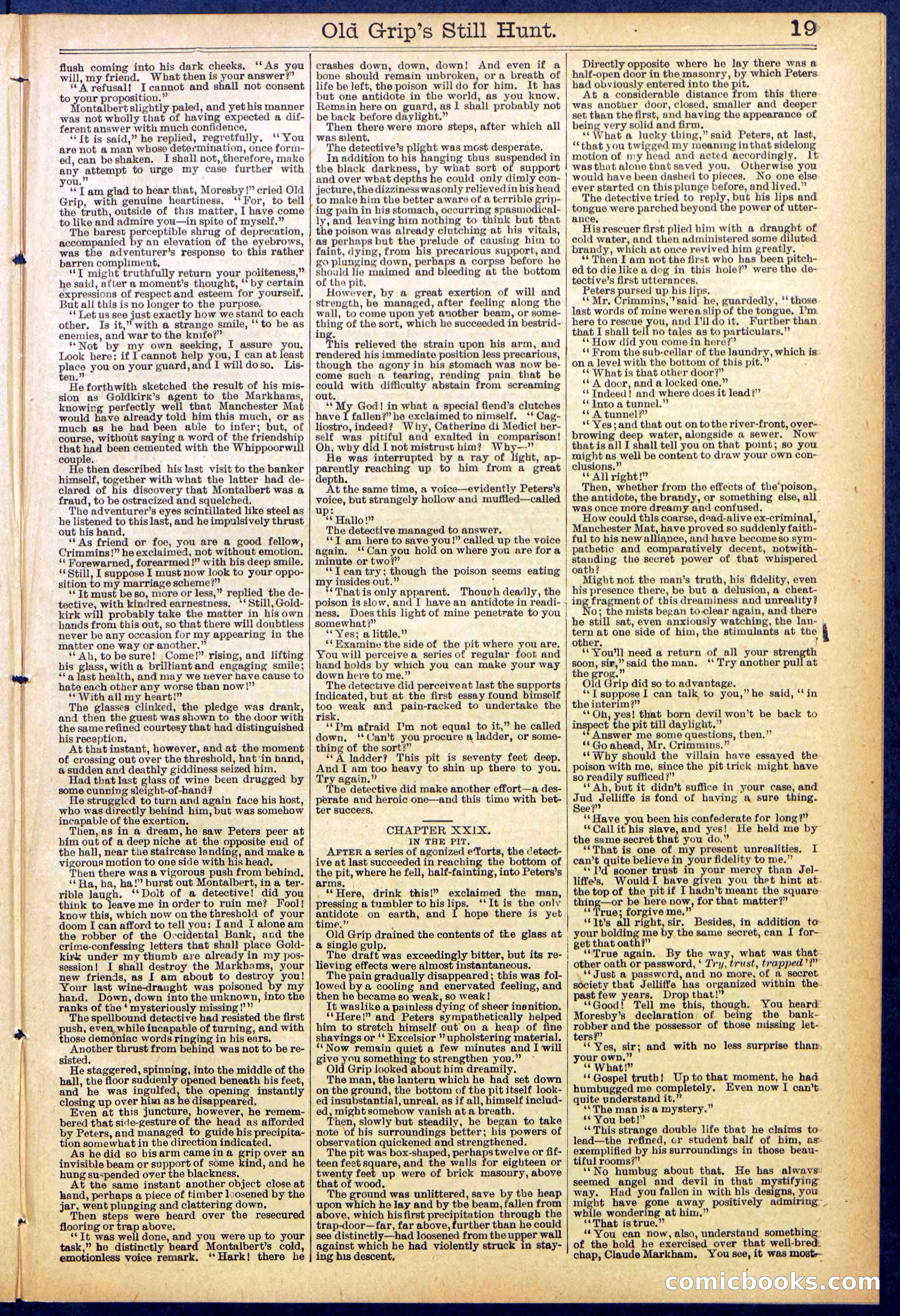 Beadle's New York Dime Library No. 838 — page 19 of 32