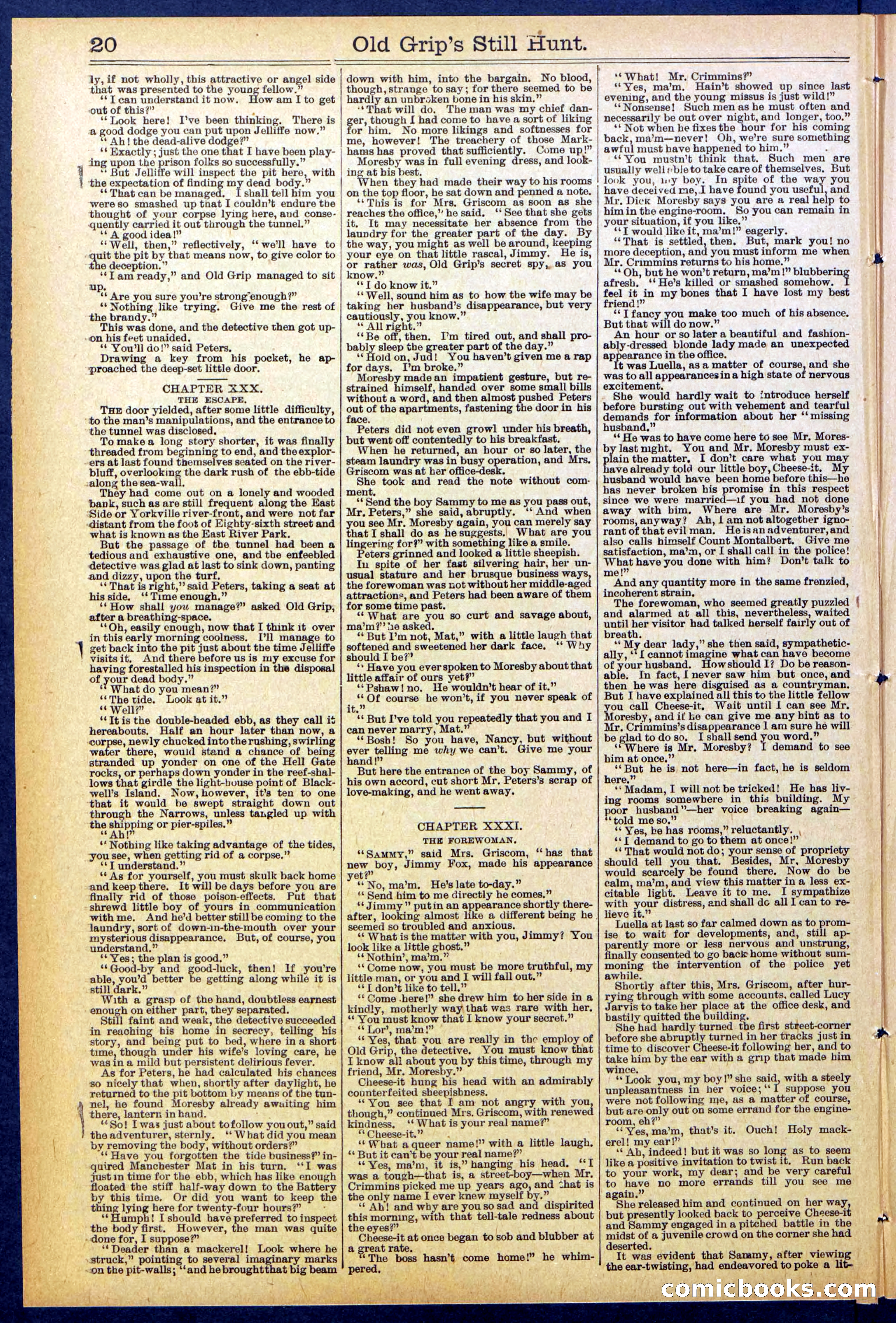 Beadle's New York Dime Library No. 838 — page 20 of 32