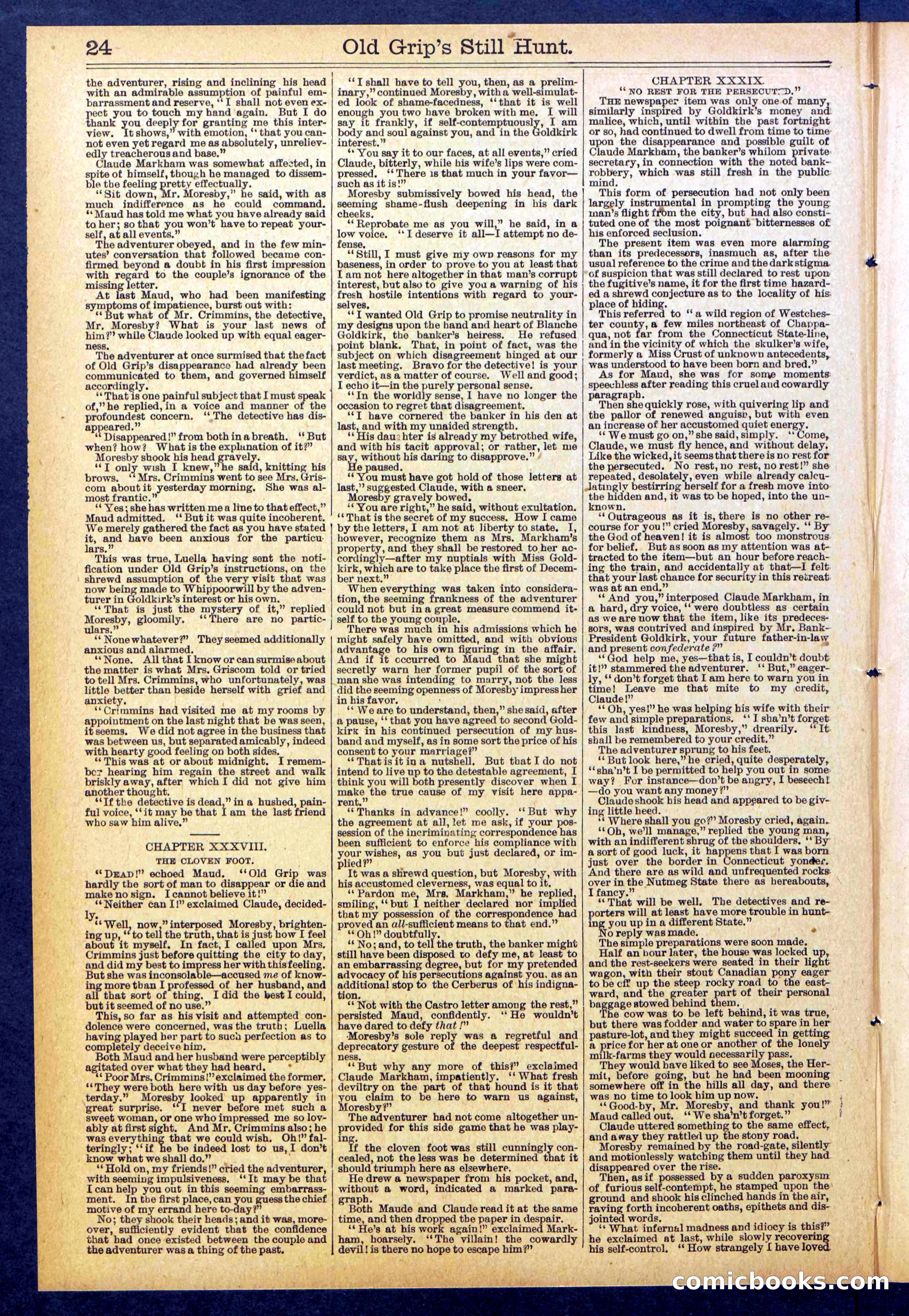 Beadle's New York Dime Library No. 838 — page 24 of 32