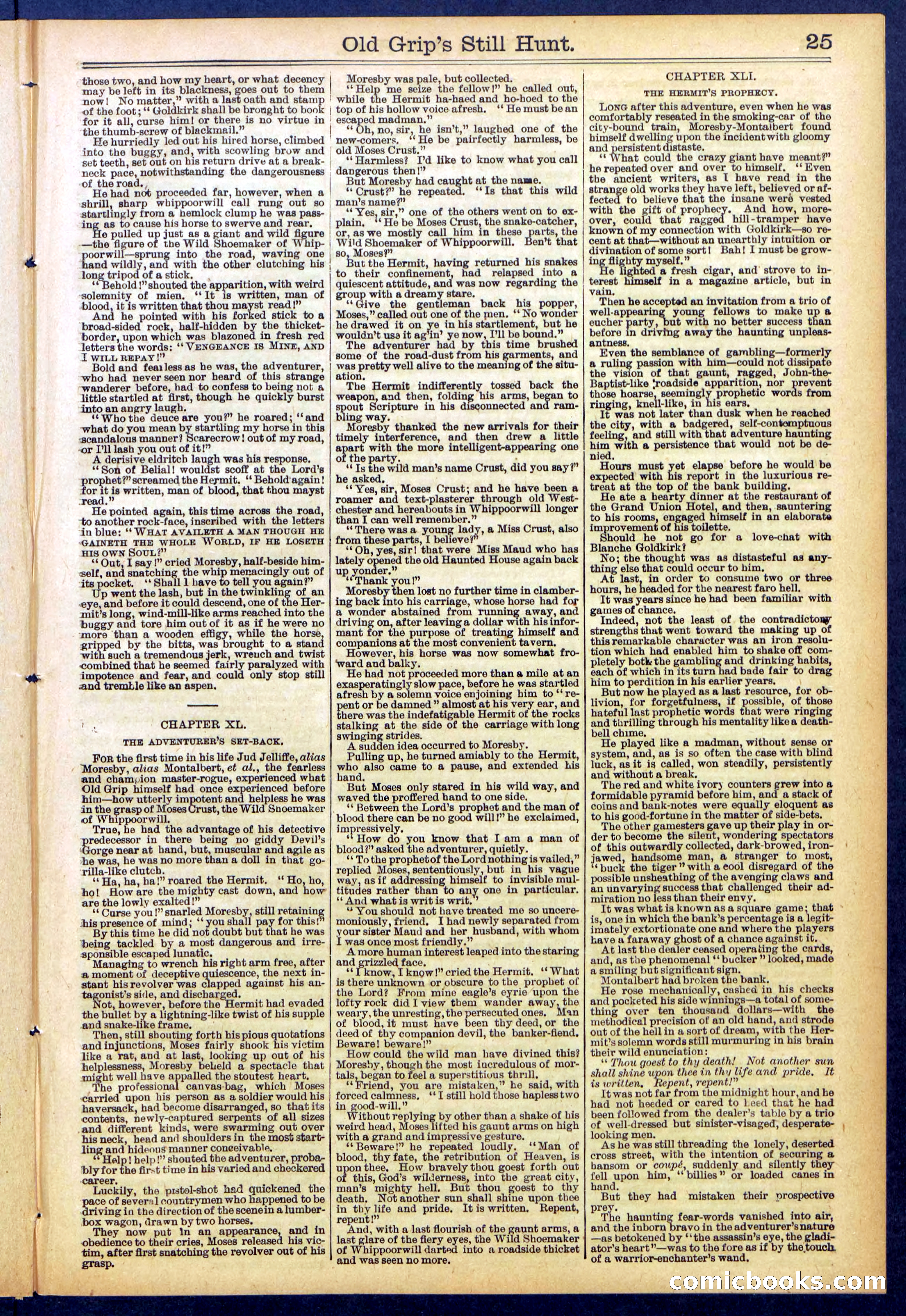 Beadle's New York Dime Library No. 838 — page 25 of 32