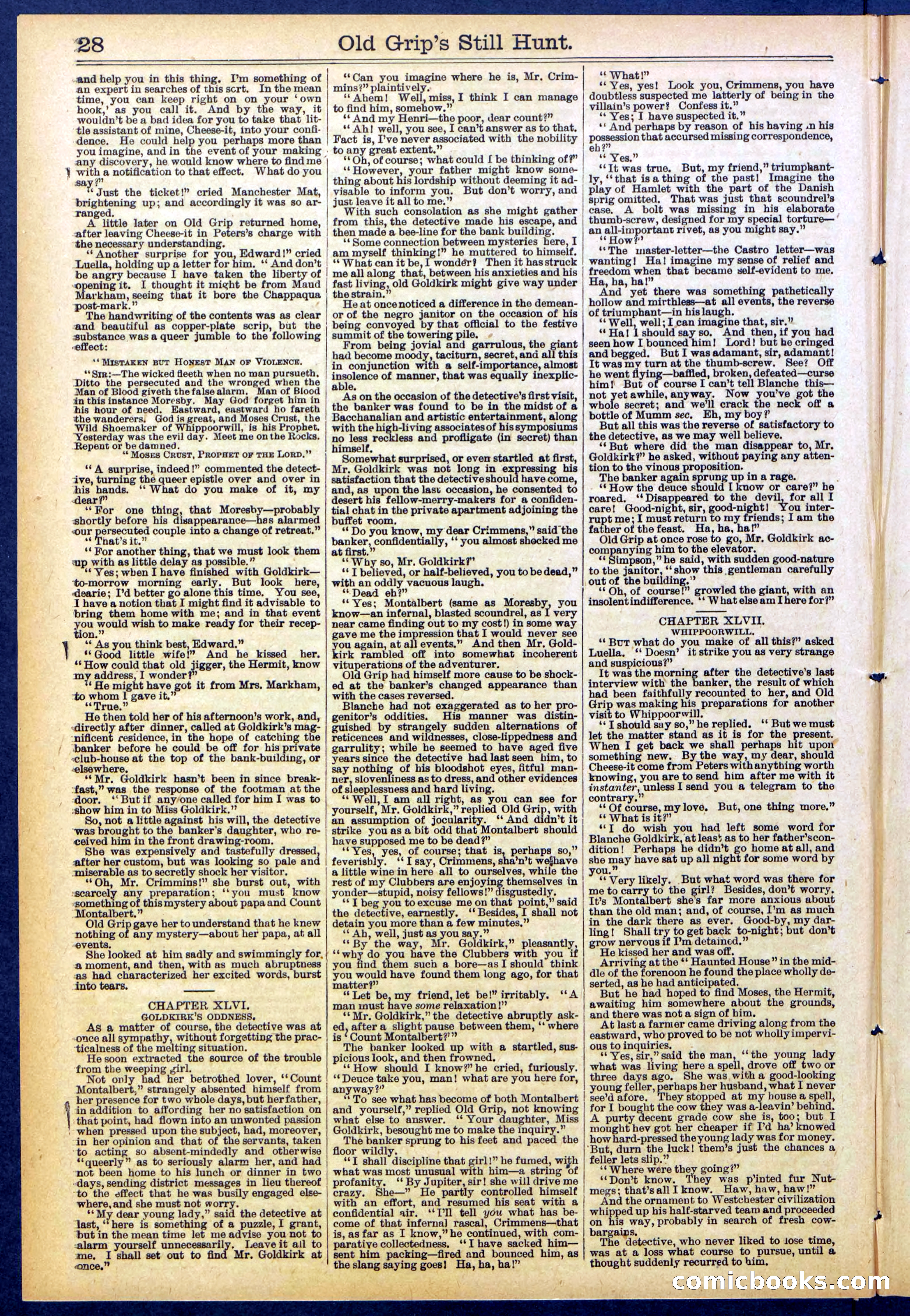 Beadle's New York Dime Library No. 838 — page 28 of 32