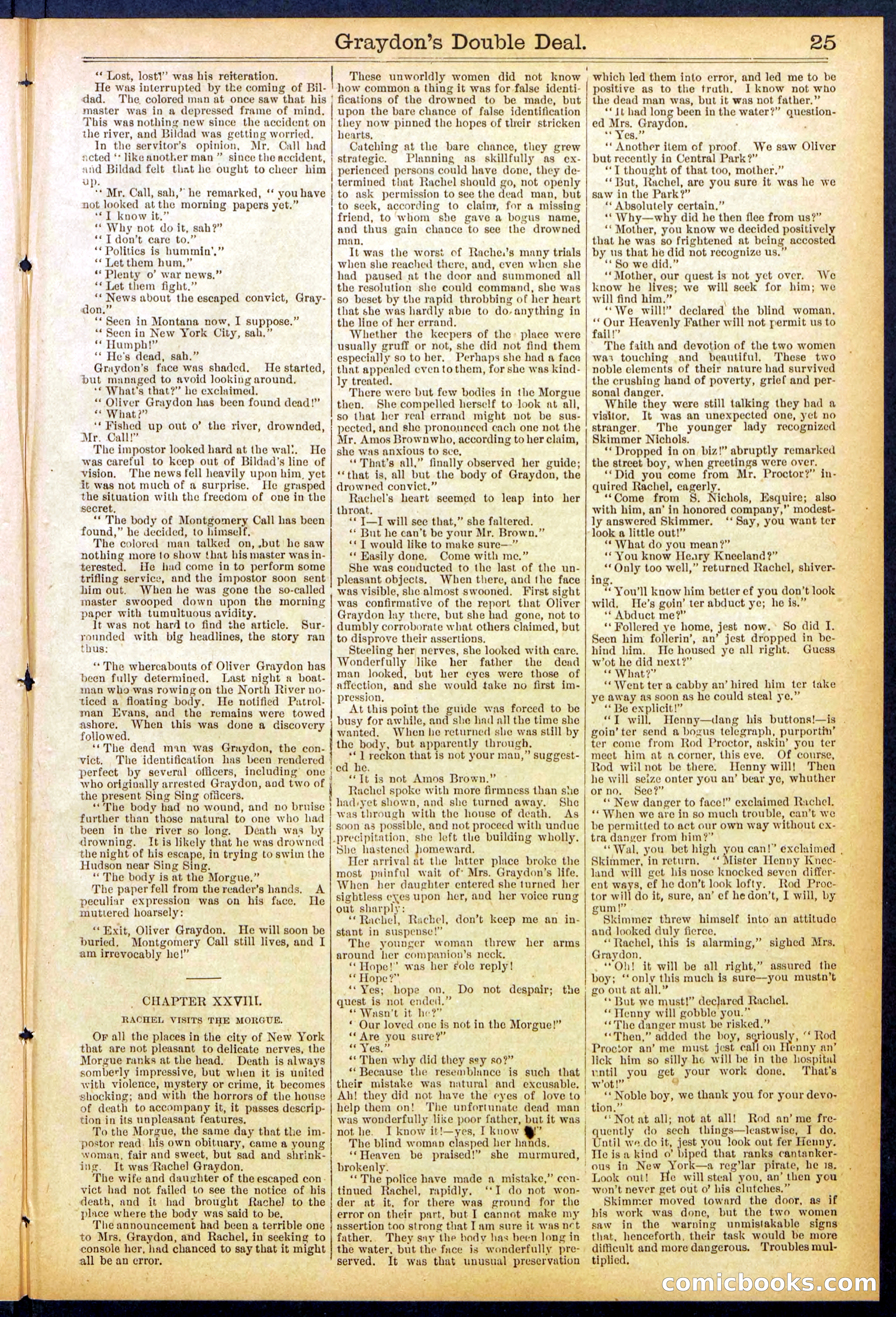 Beadle's Dime Library No. 841 — page 25 of 32