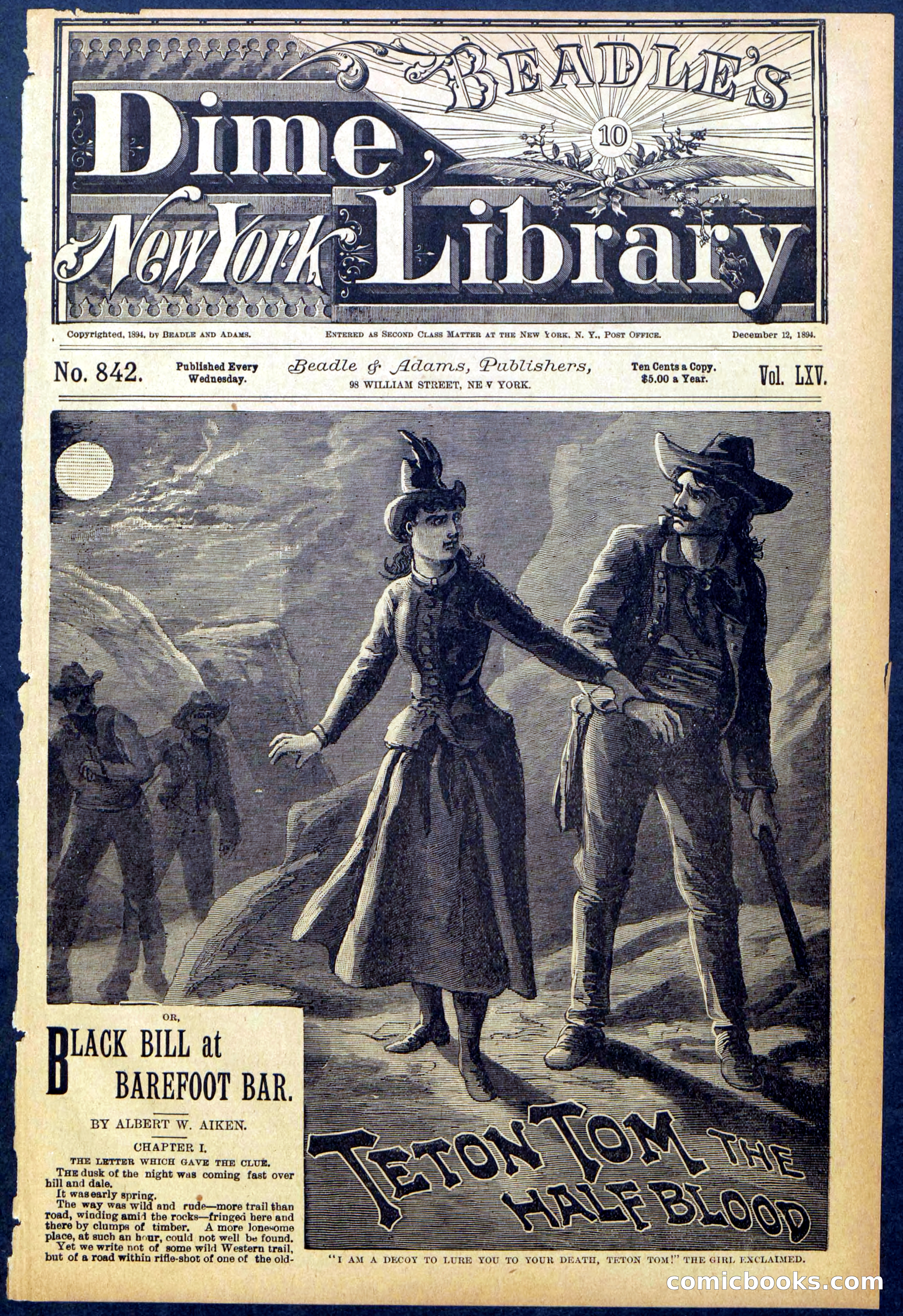 Beadle's New York Dime Library No. 842 — page 1 of 32