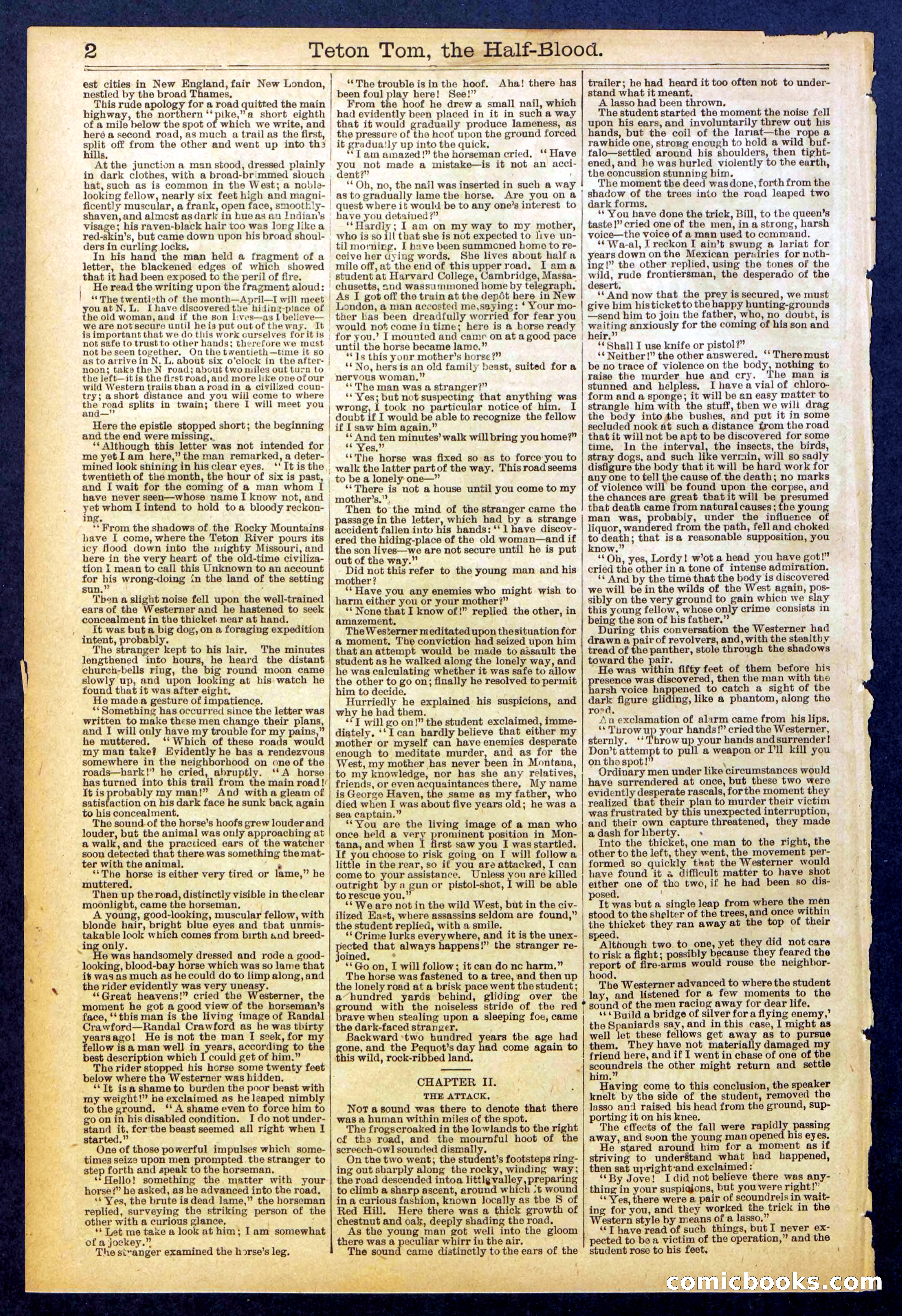 Beadle's New York Dime Library No. 842 — page 2 of 32